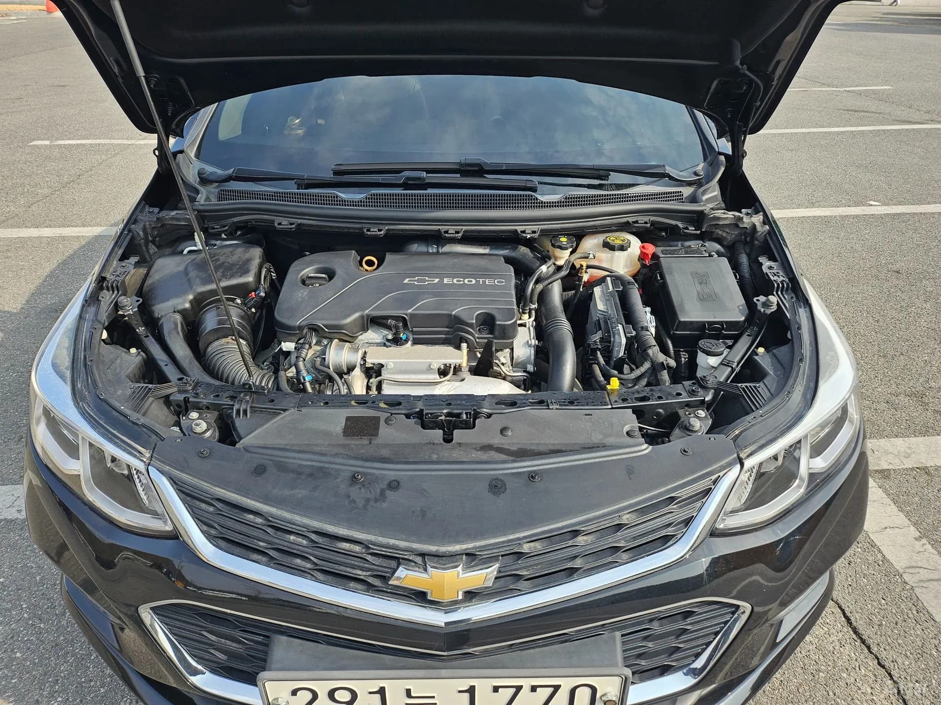 Cruze