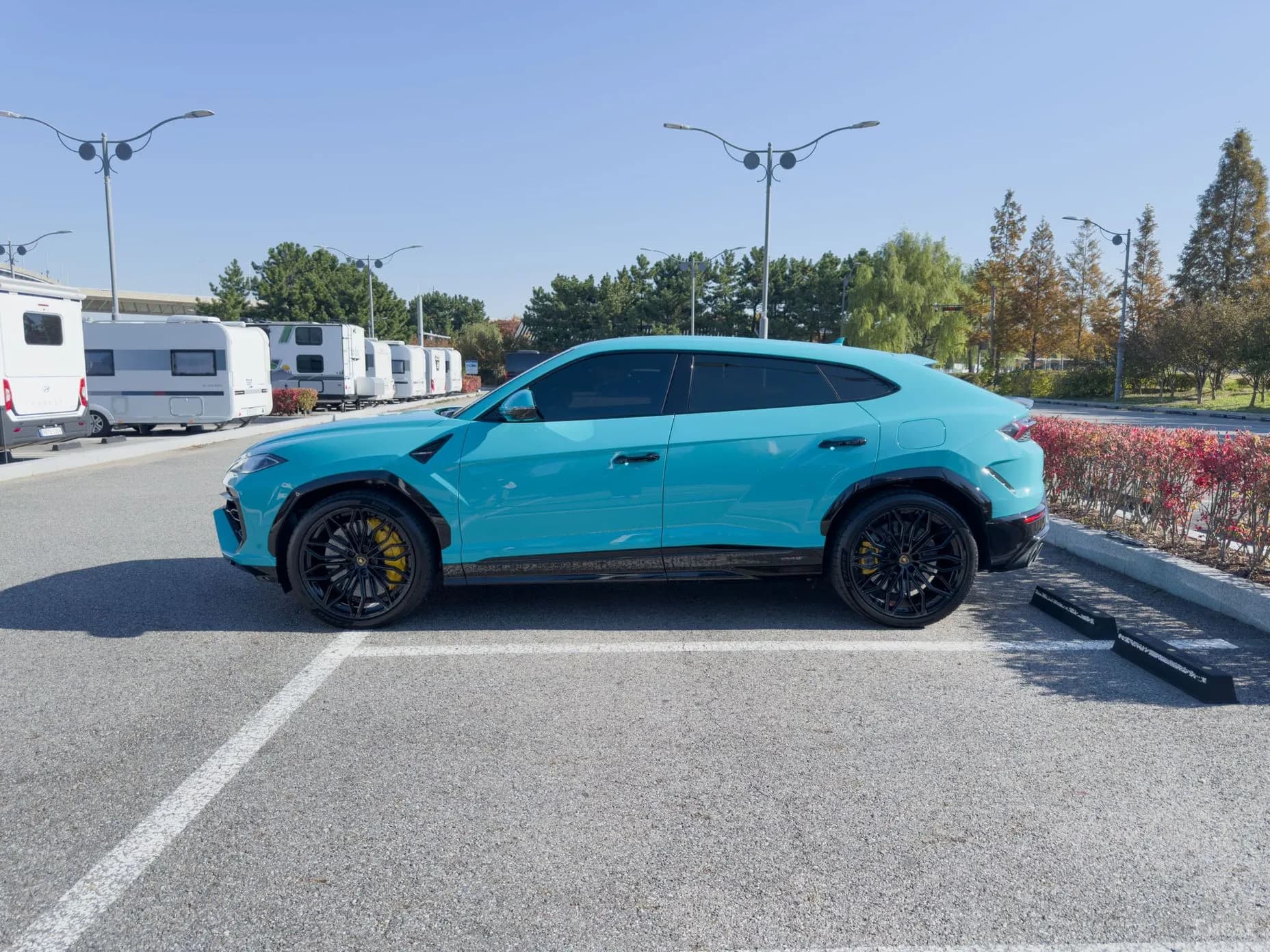 Urus