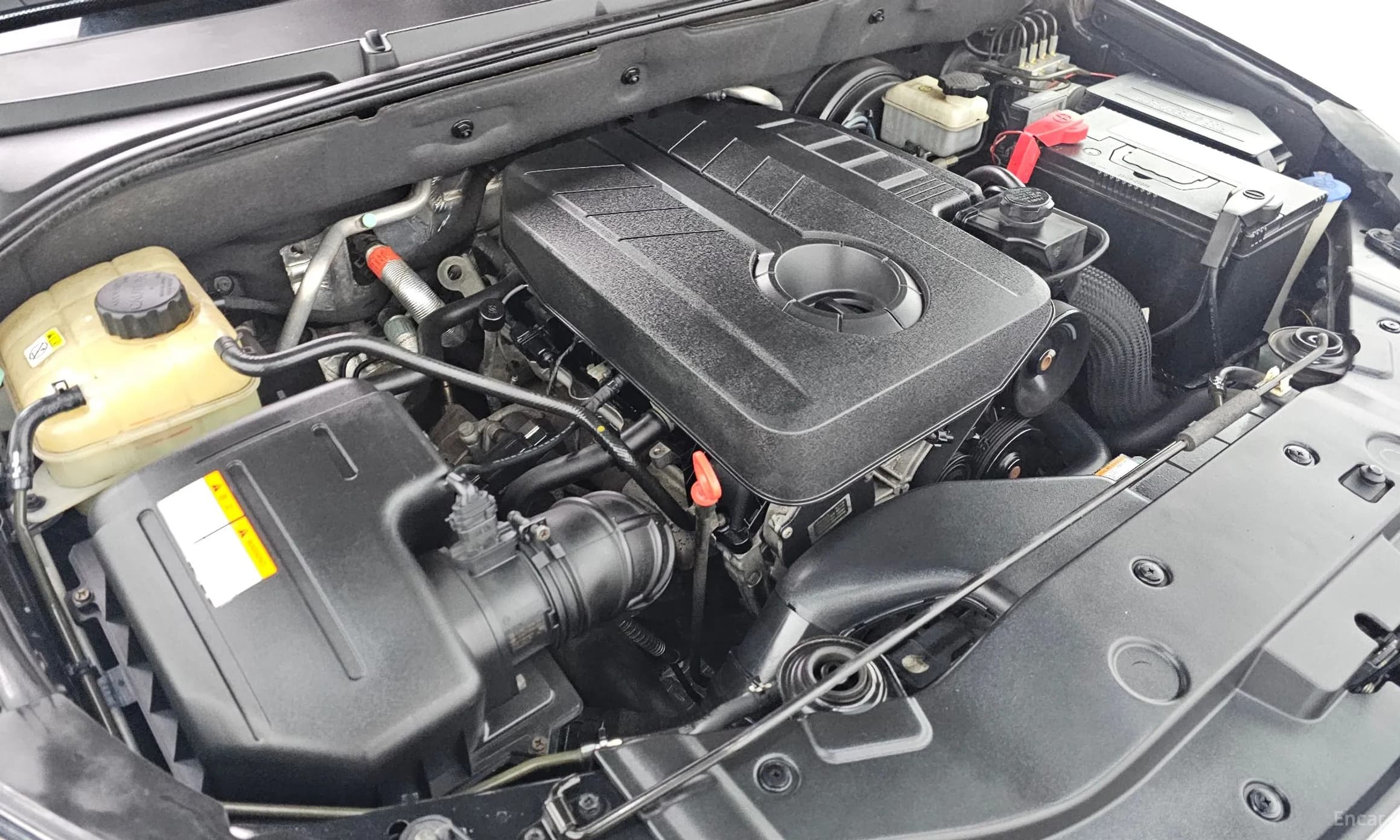 Korando Sports