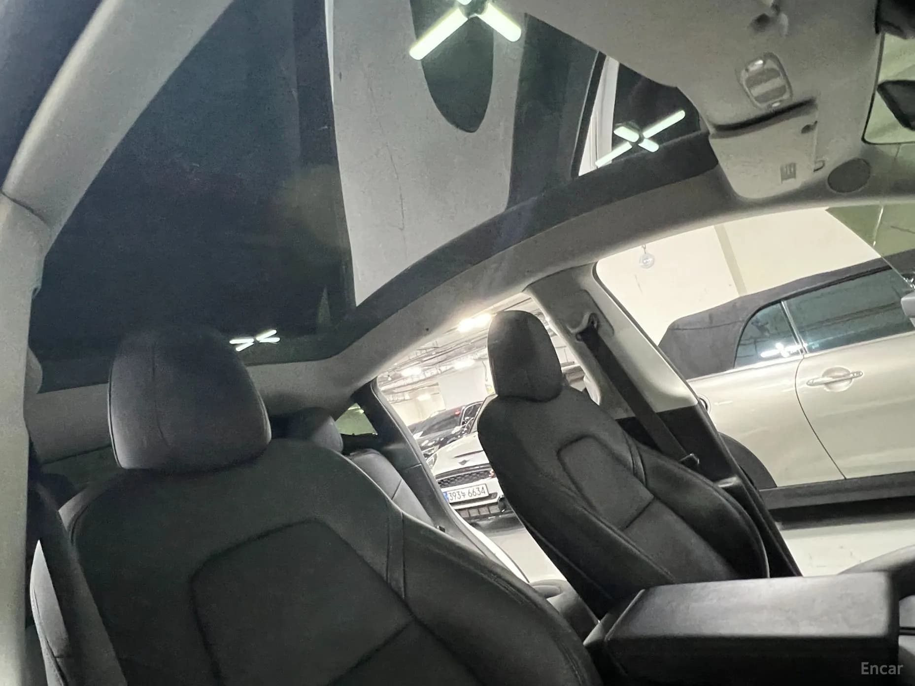 Model Y