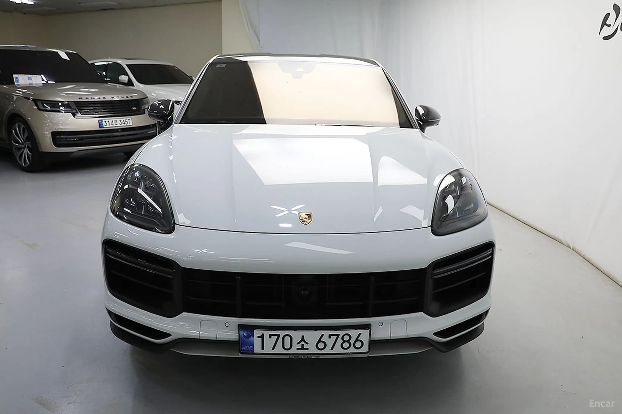 Cayenne (PO536)