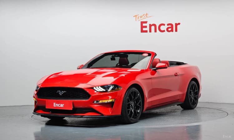 Mustang