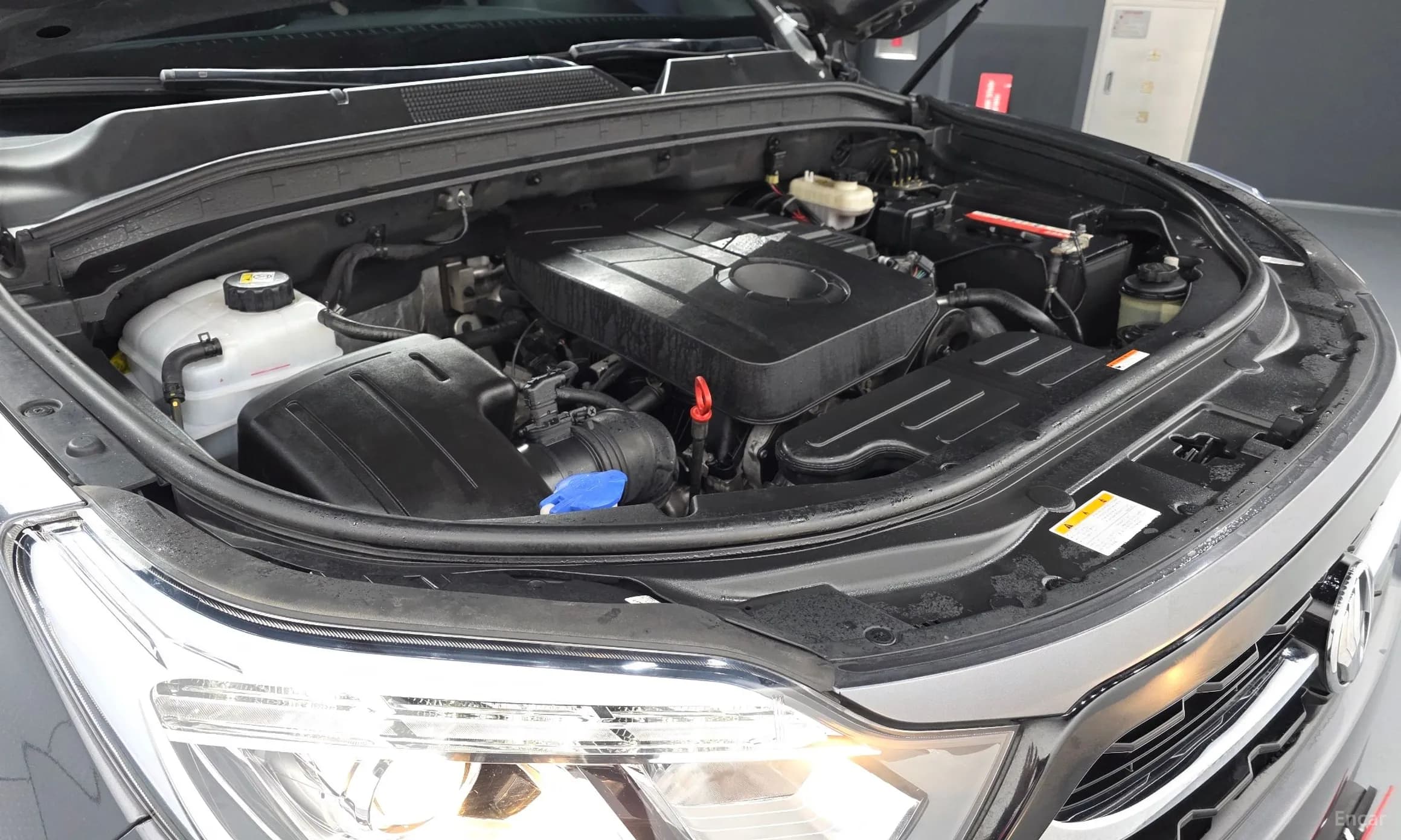 Rexton Sports