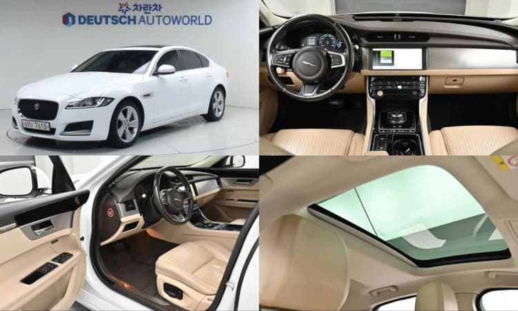 XF (x260)