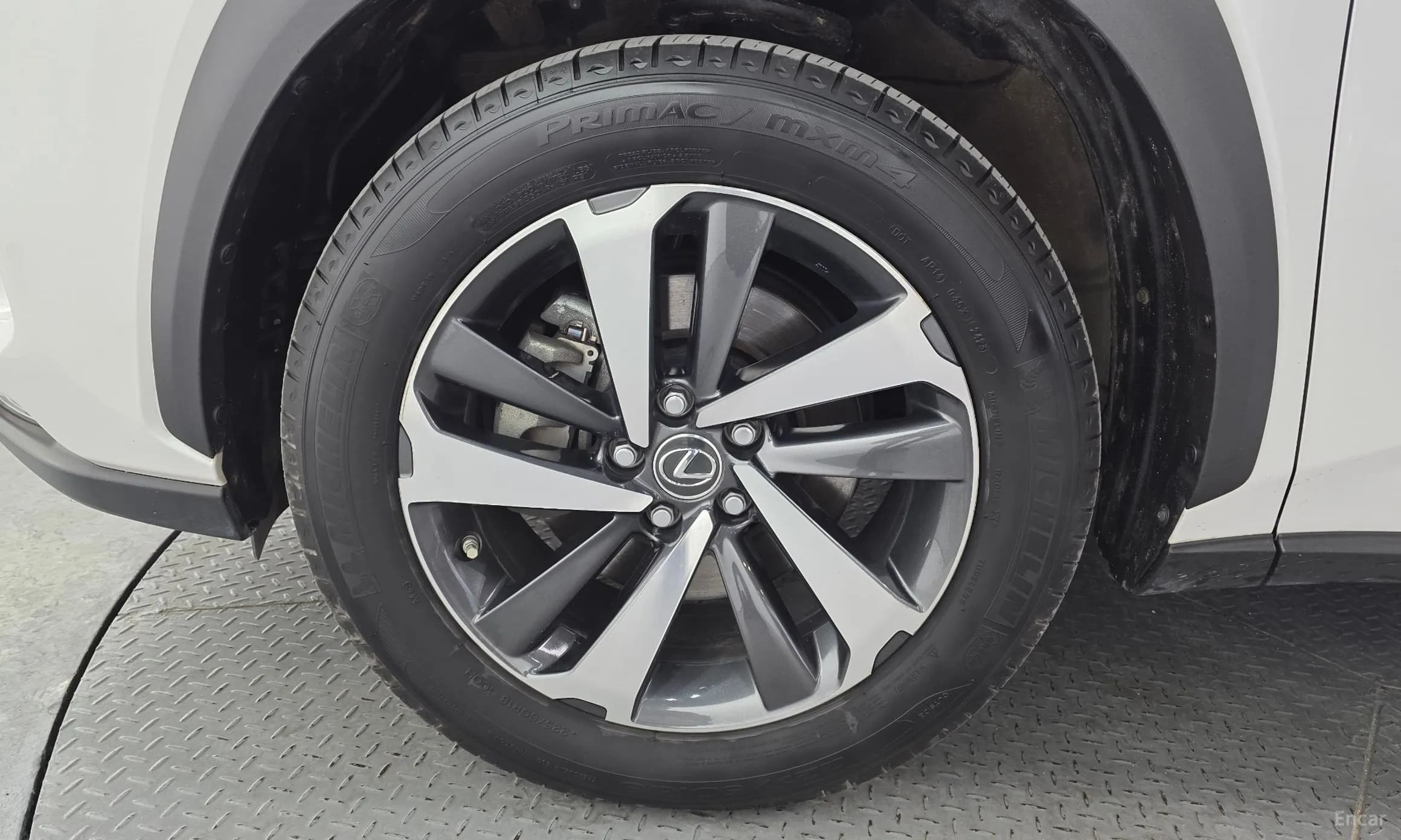 NX300h