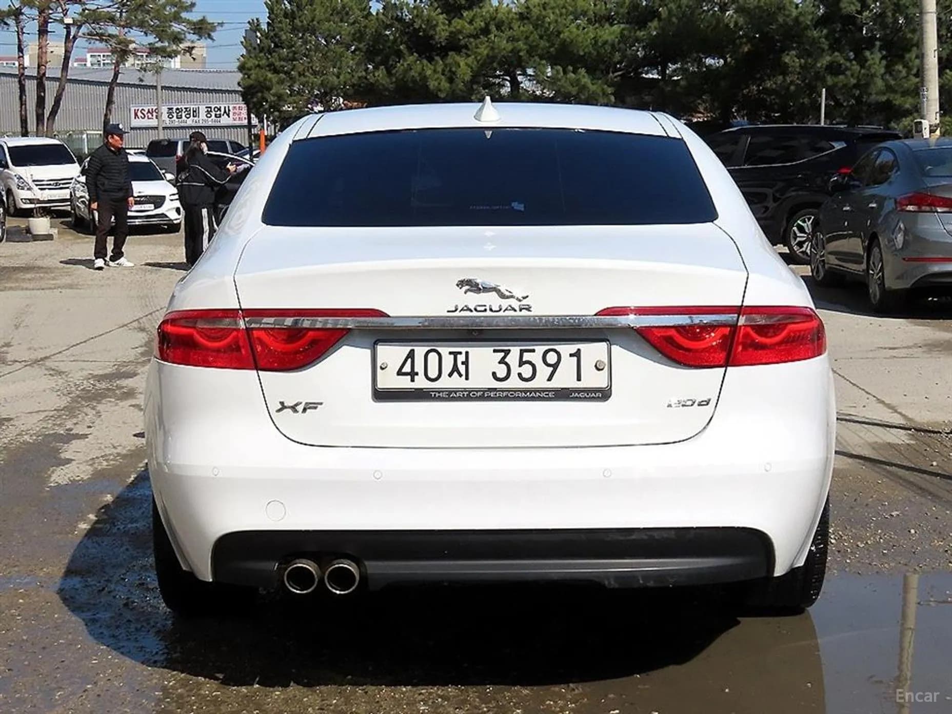 XF (x260)