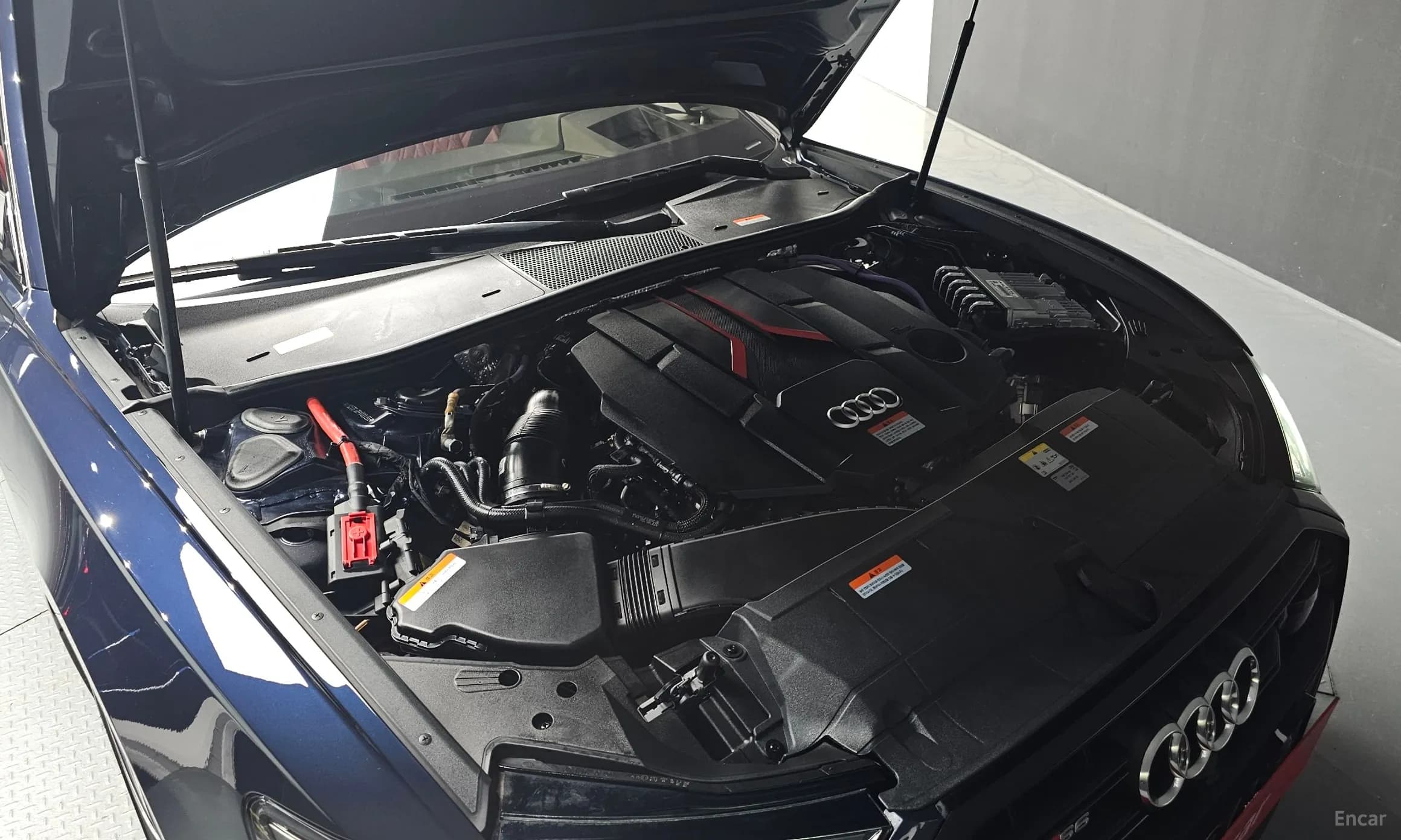 S6 (C8)