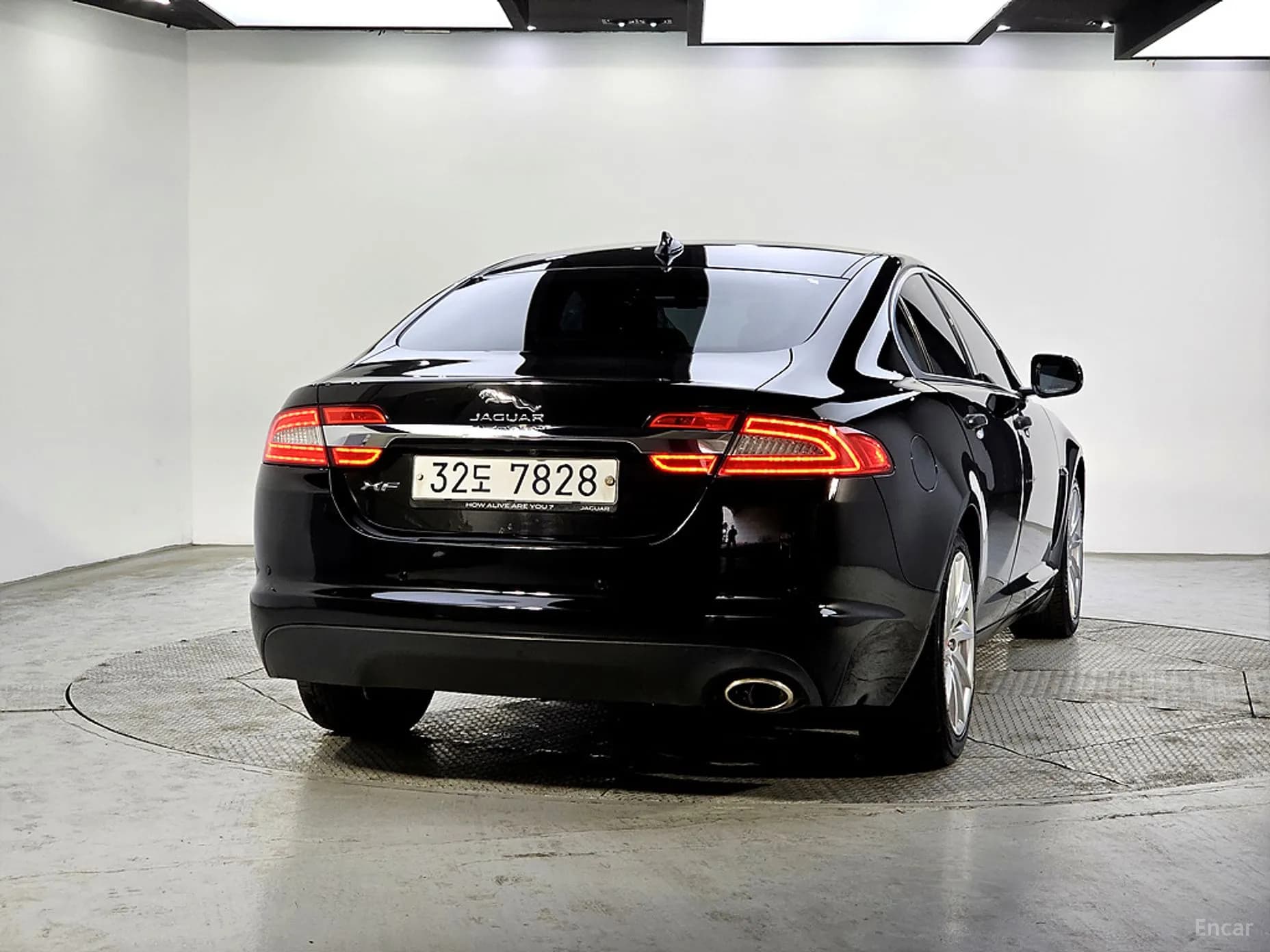 New XF