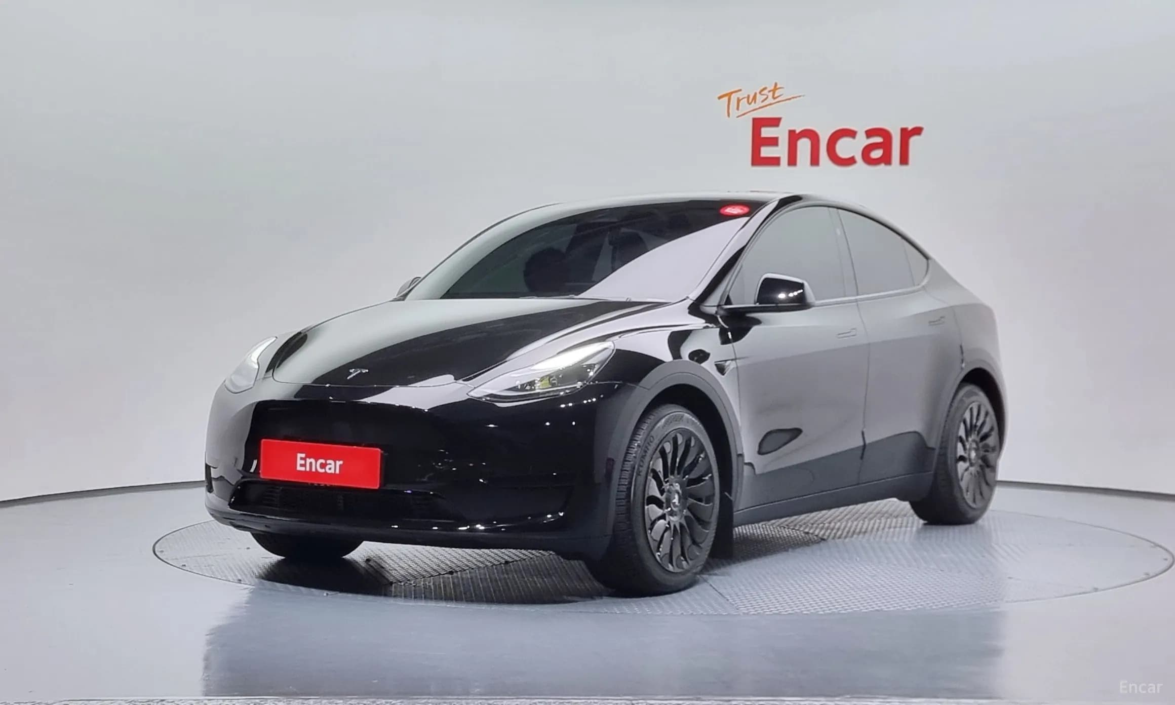 Model Y