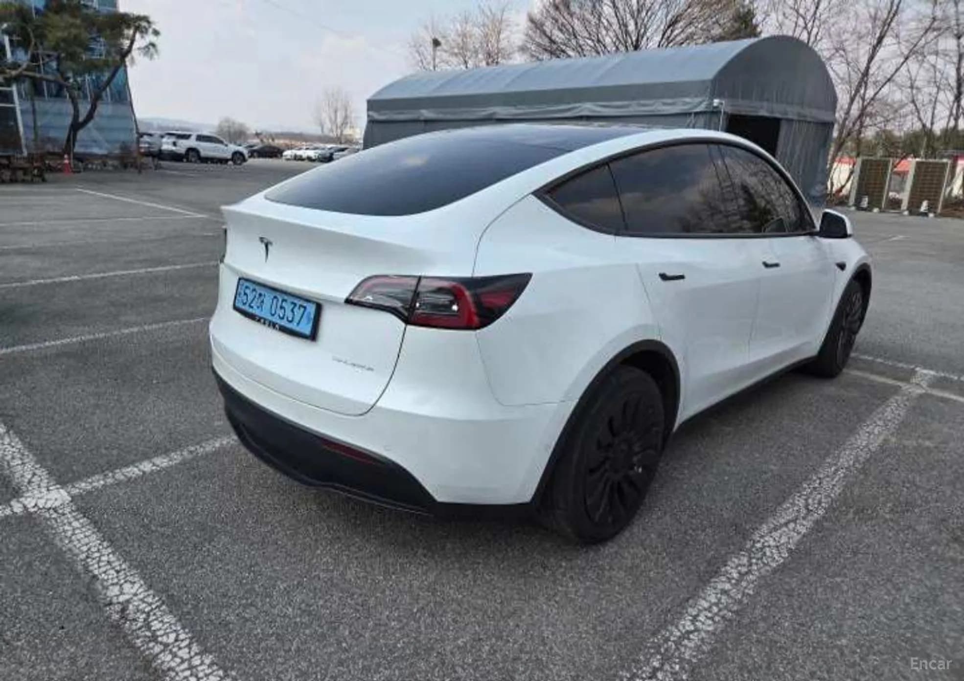 Model Y