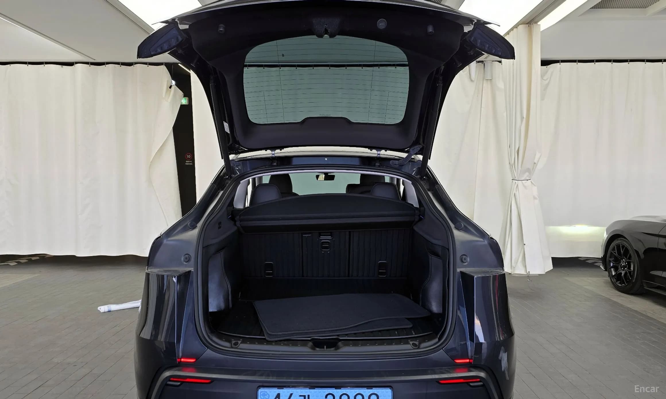Model Y