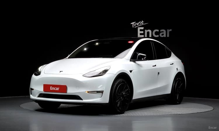 Model Y