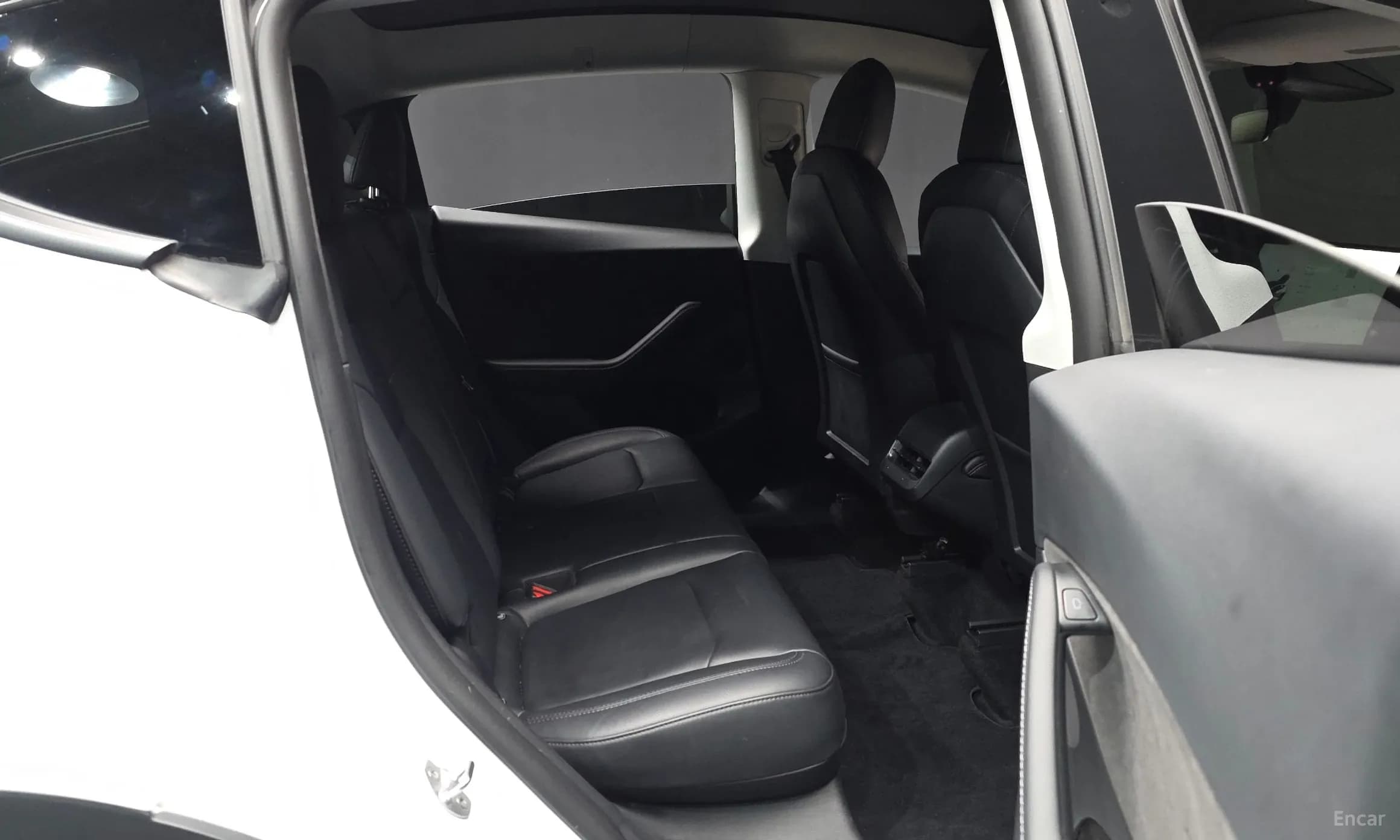 Model Y