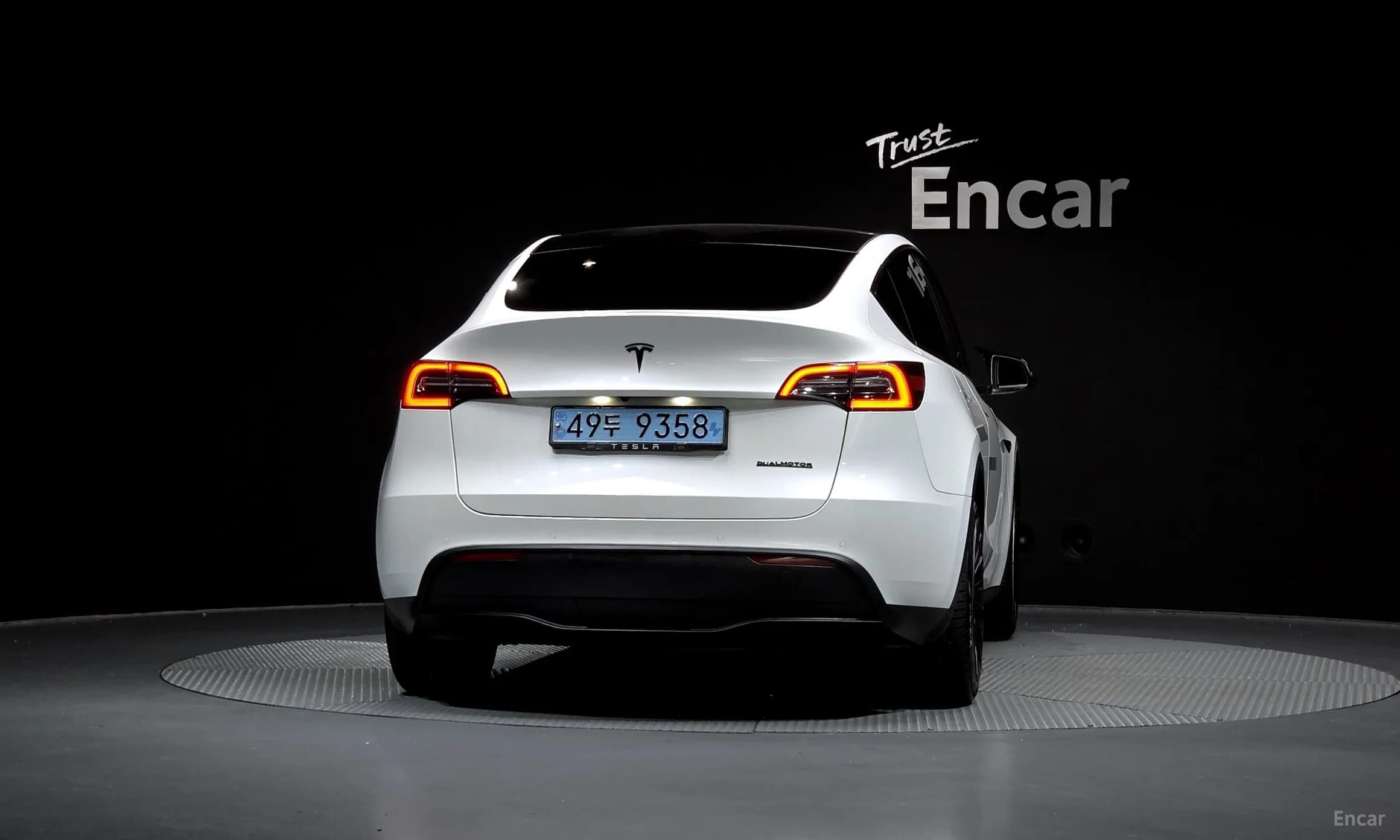 Model Y