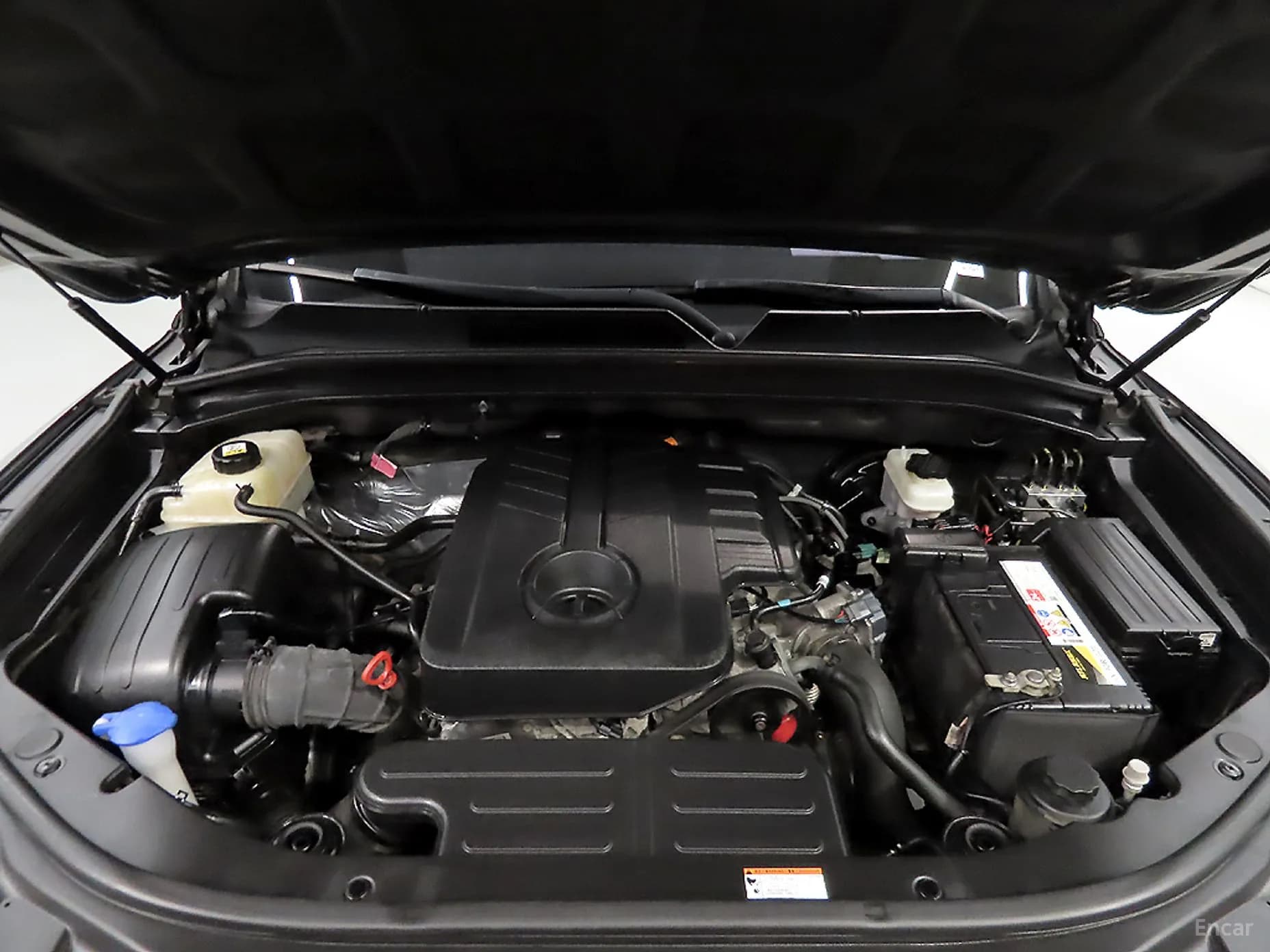 Rexton Sports
