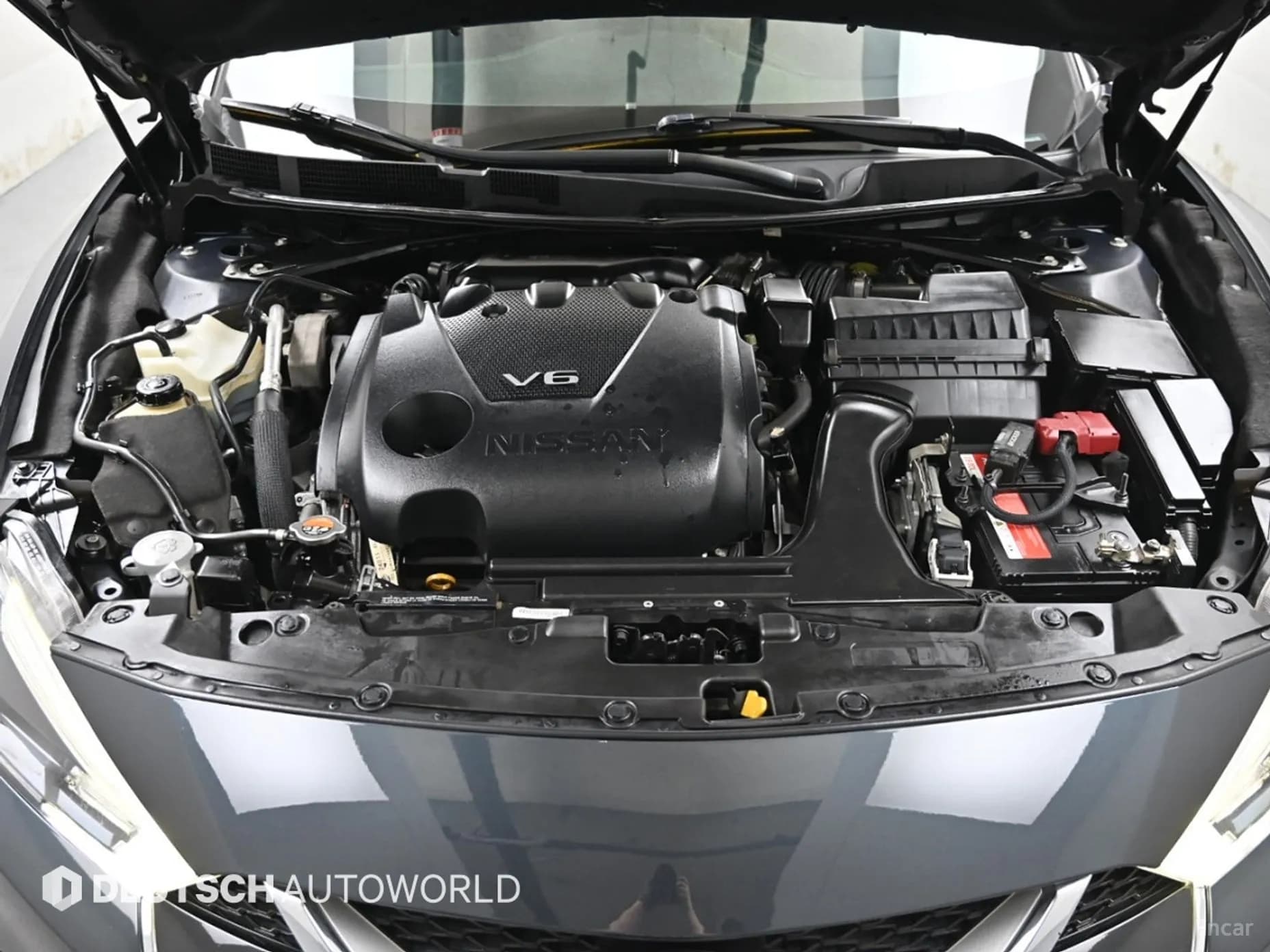 Maxima (A36)