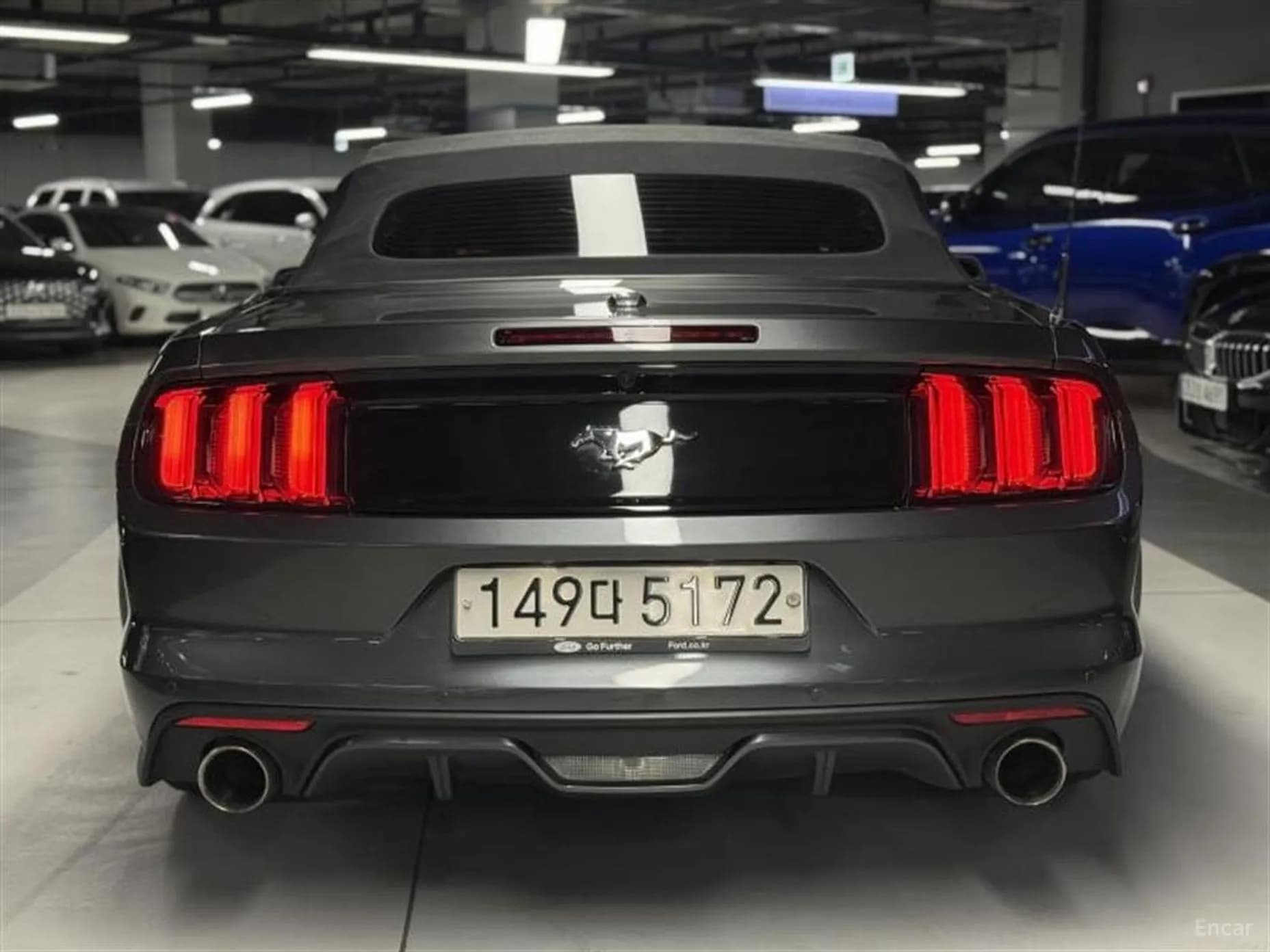 Mustang