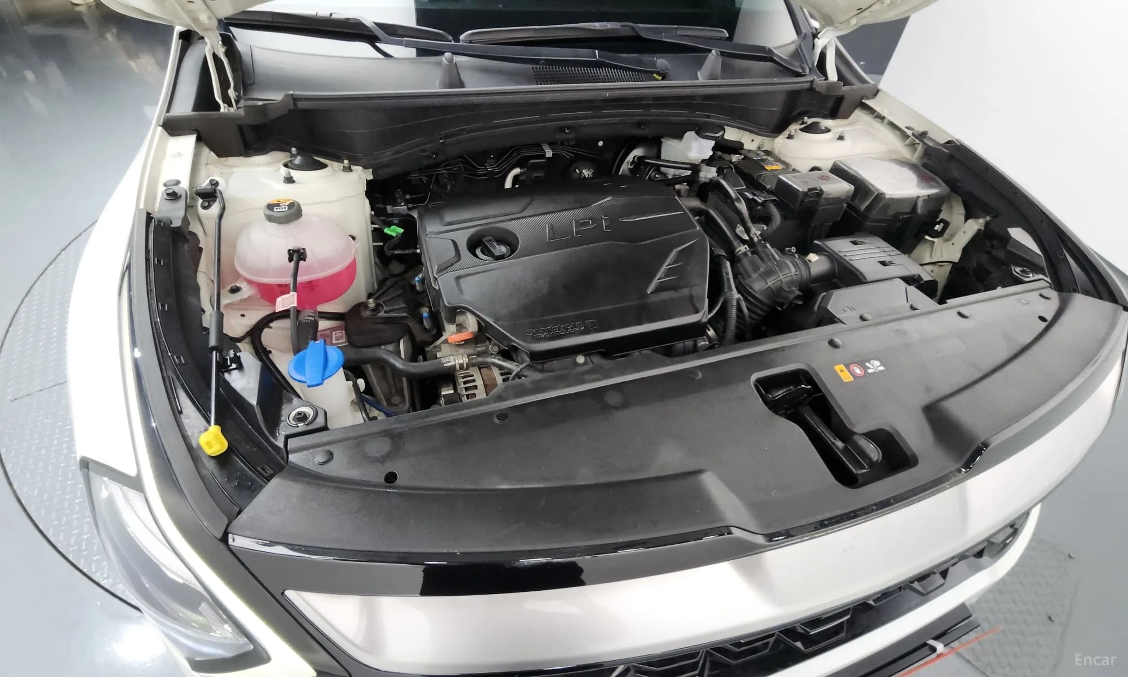 Sportage 5th Generation