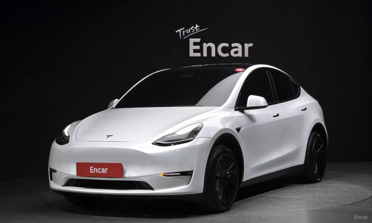 Model Y
