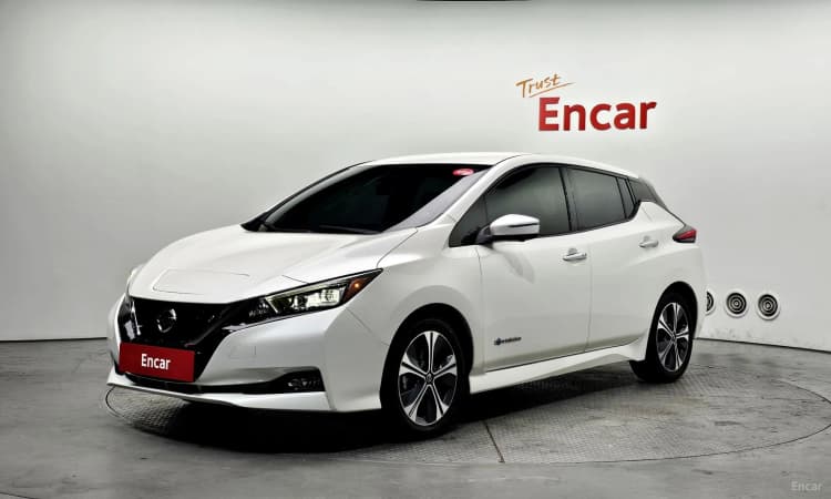 Leaf (ZE1)
