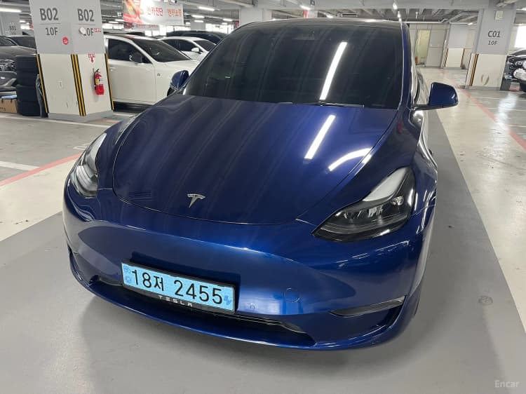 Model Y