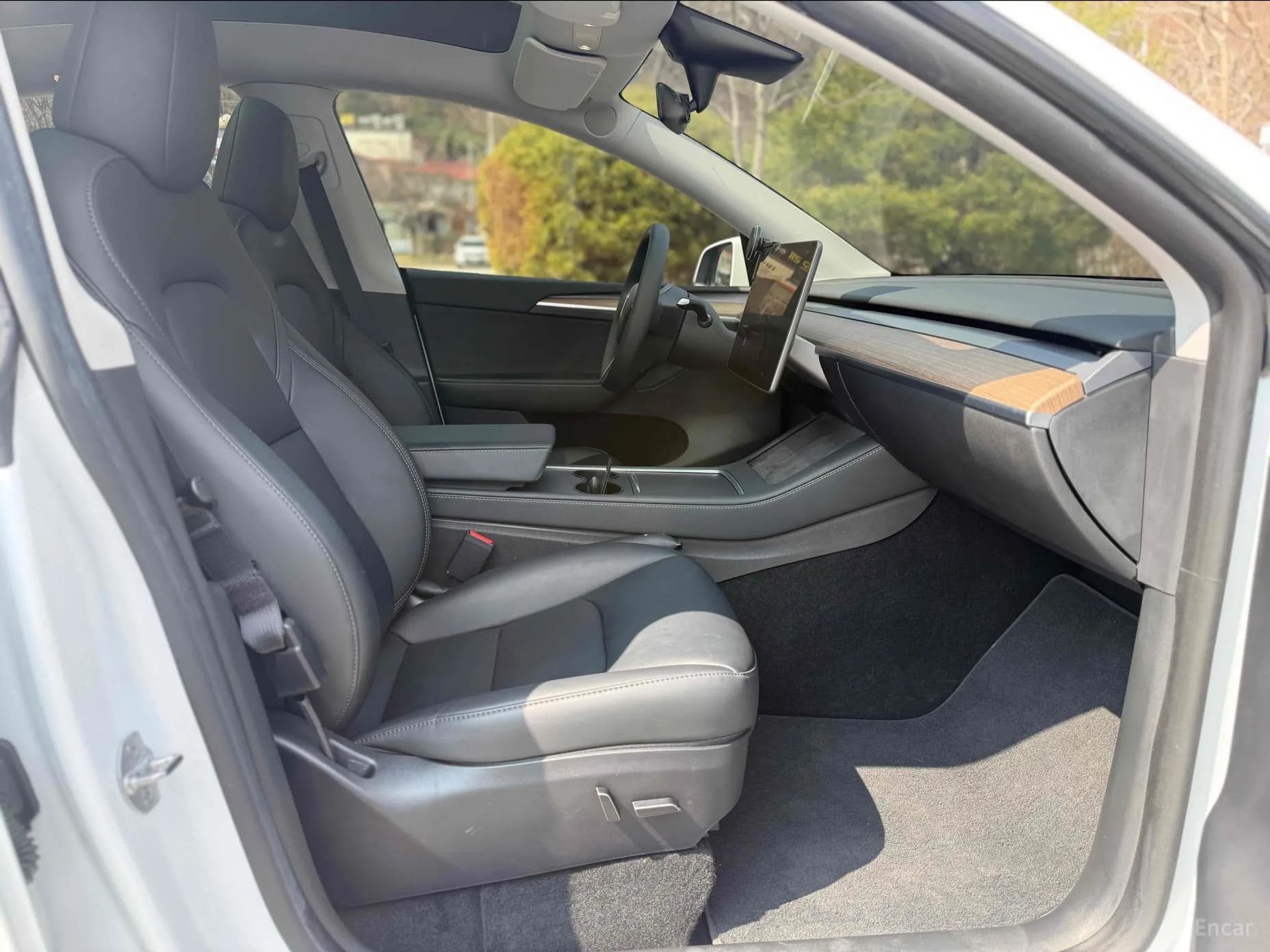 Model Y