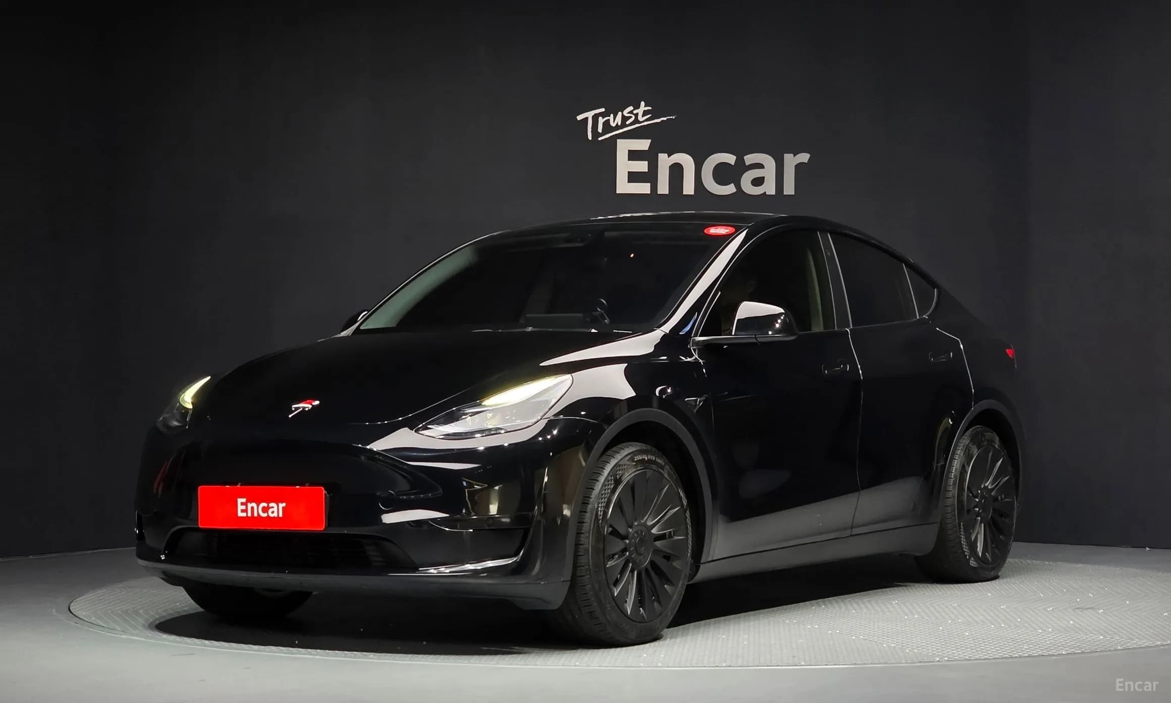 Model Y