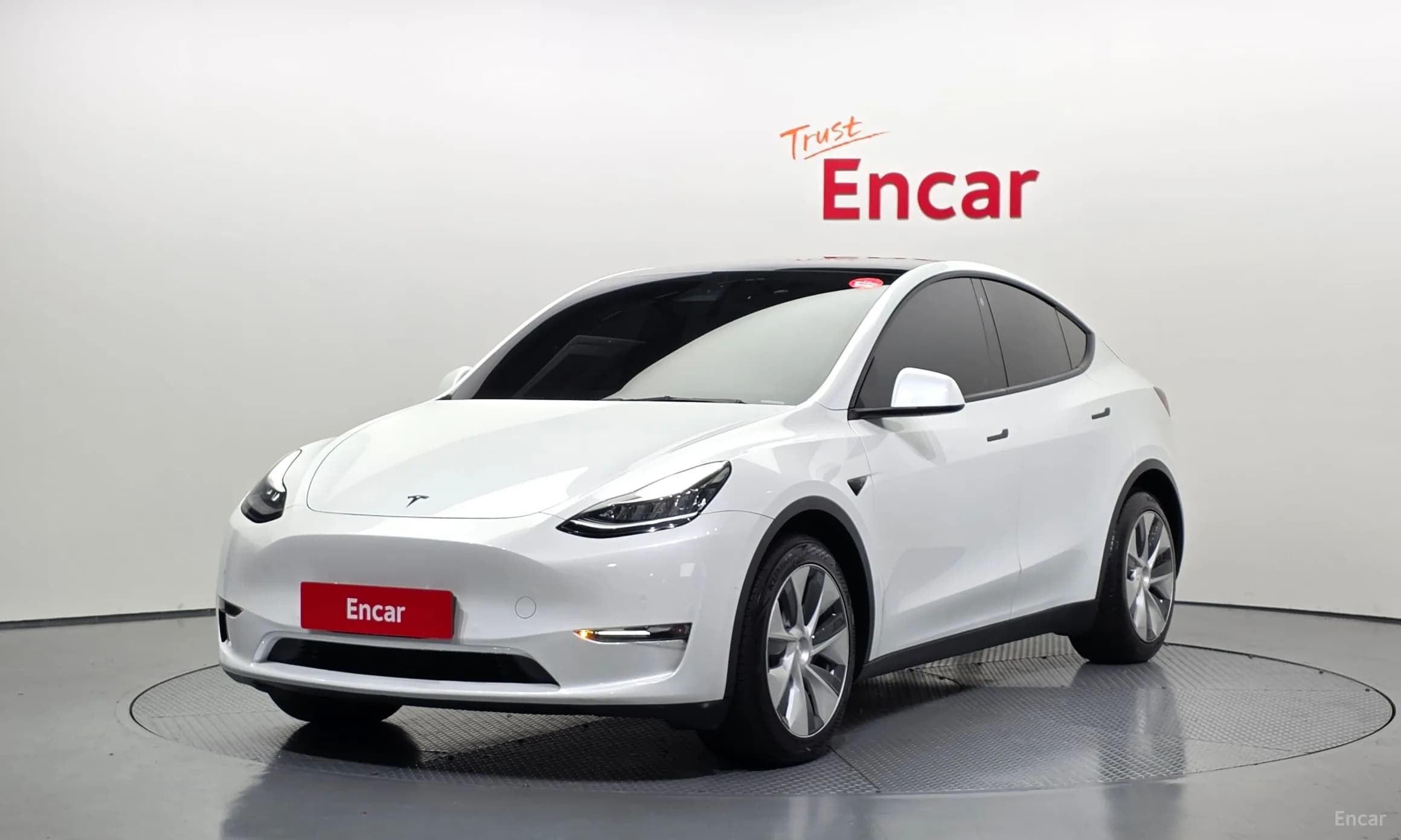 Model Y