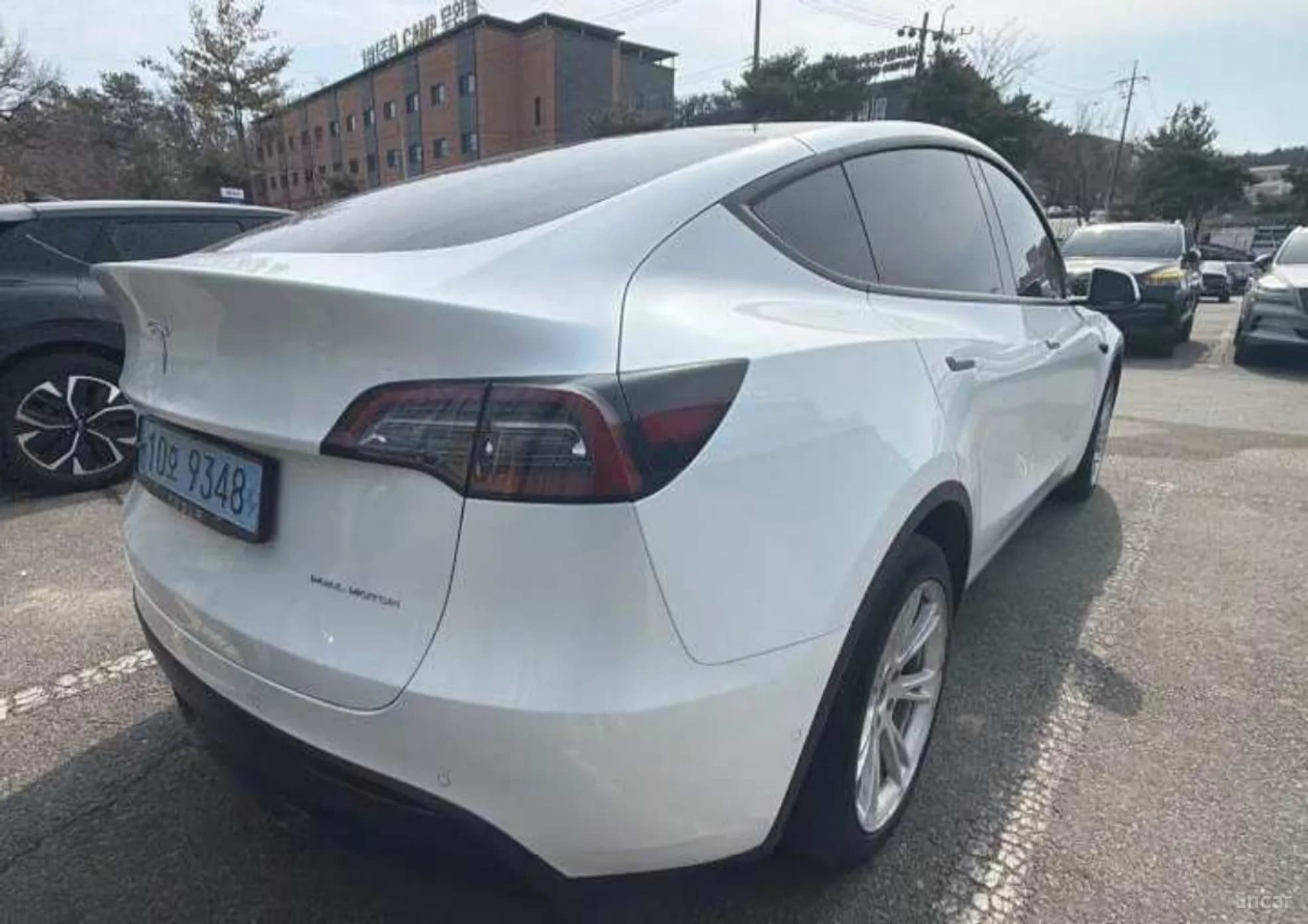 Model Y