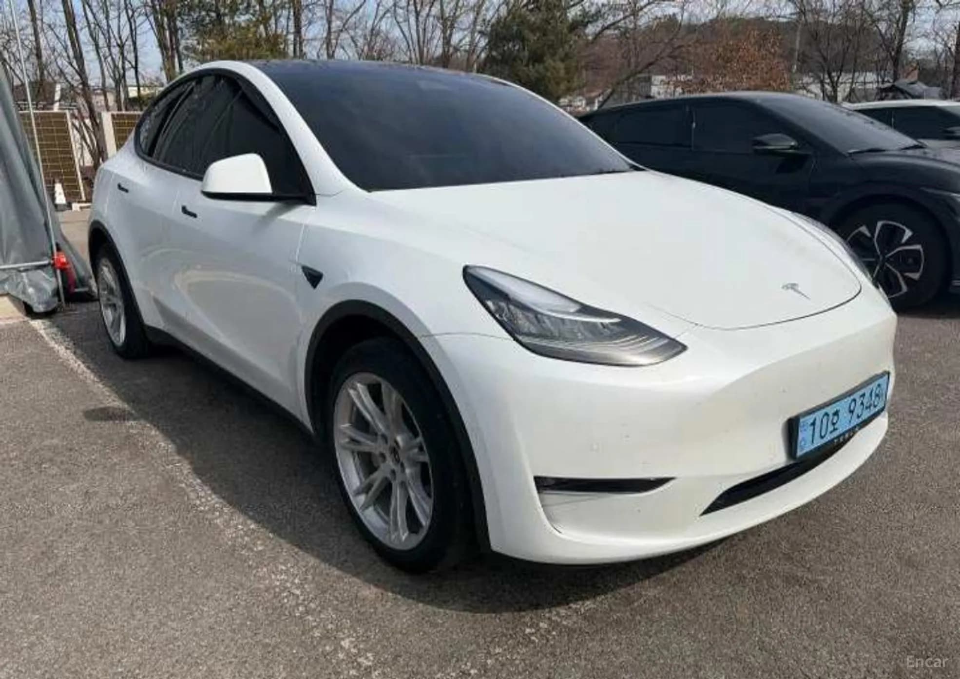Model Y