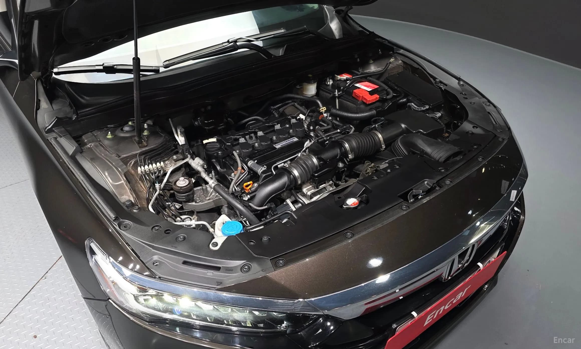 Accord 10th Generation