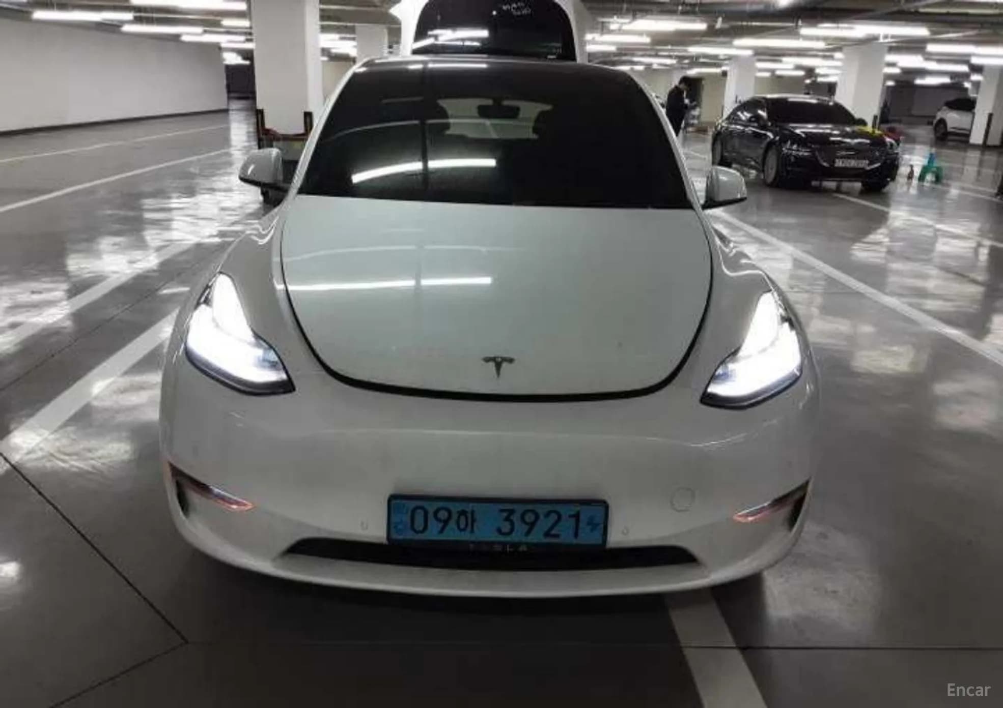 Model Y
