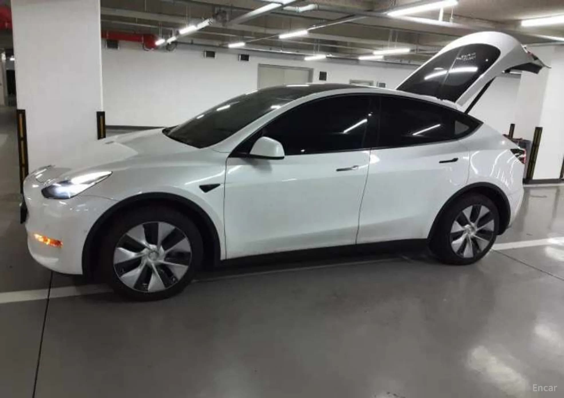 Model Y