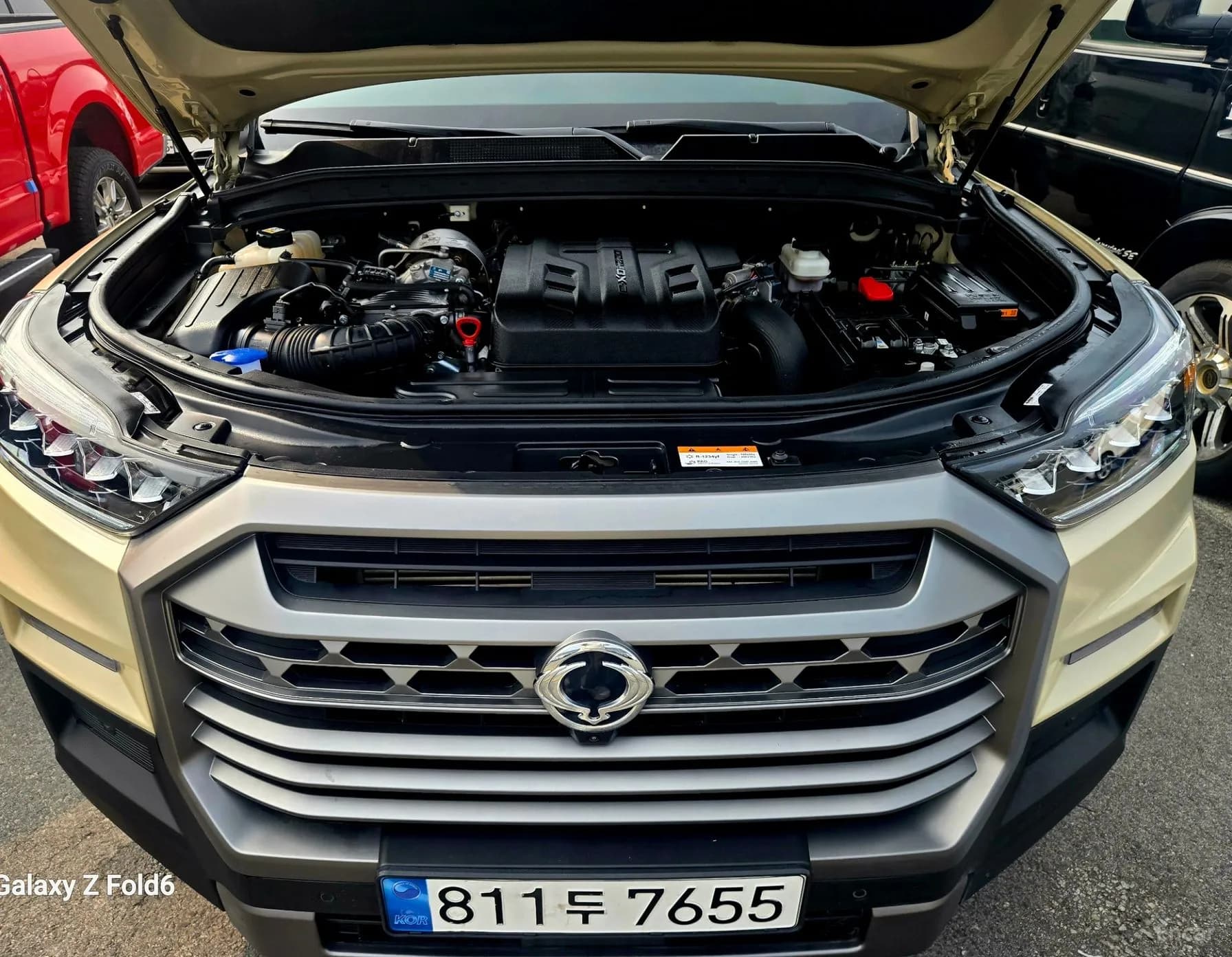 Rexton Sports