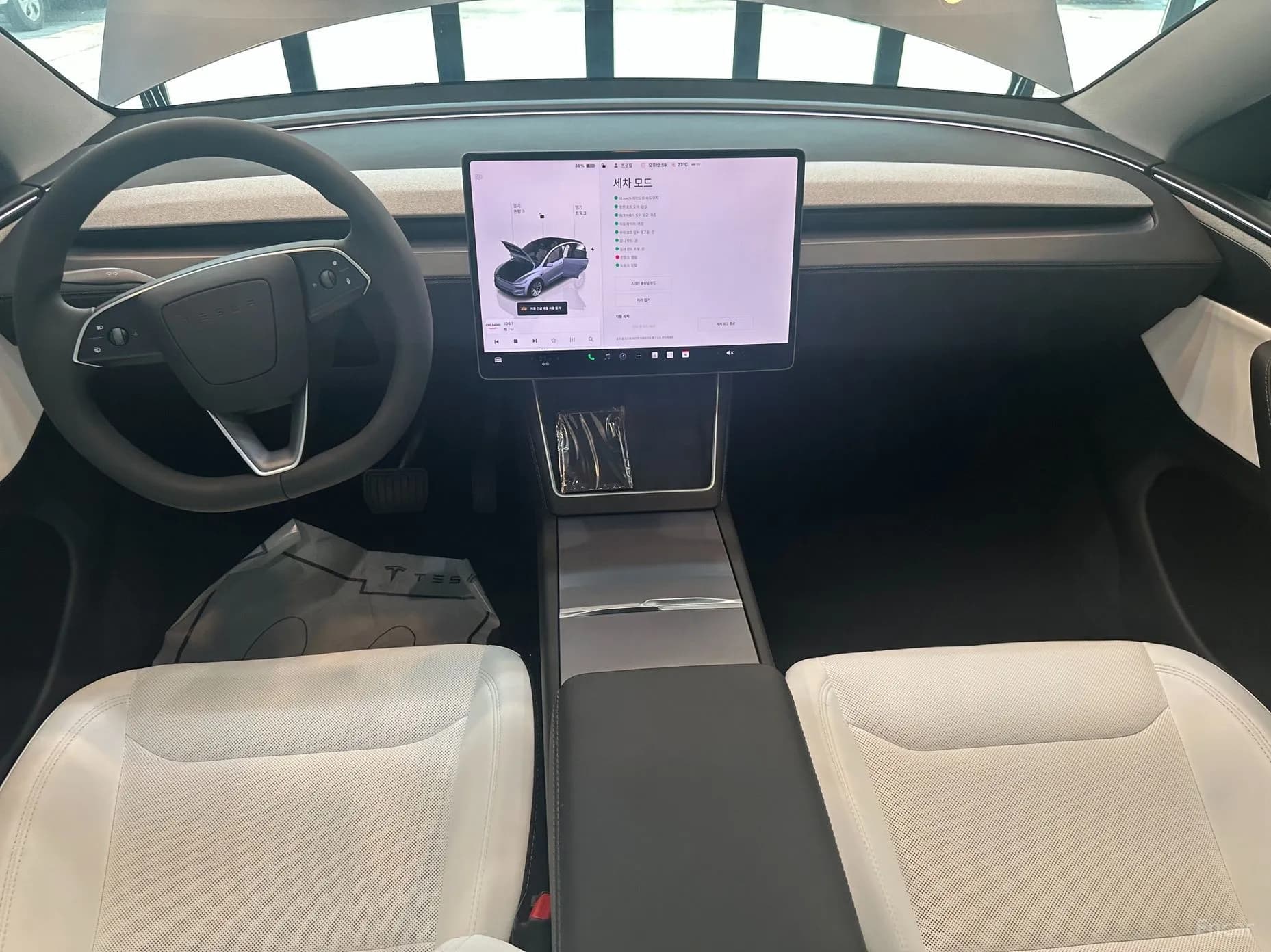 Model Y