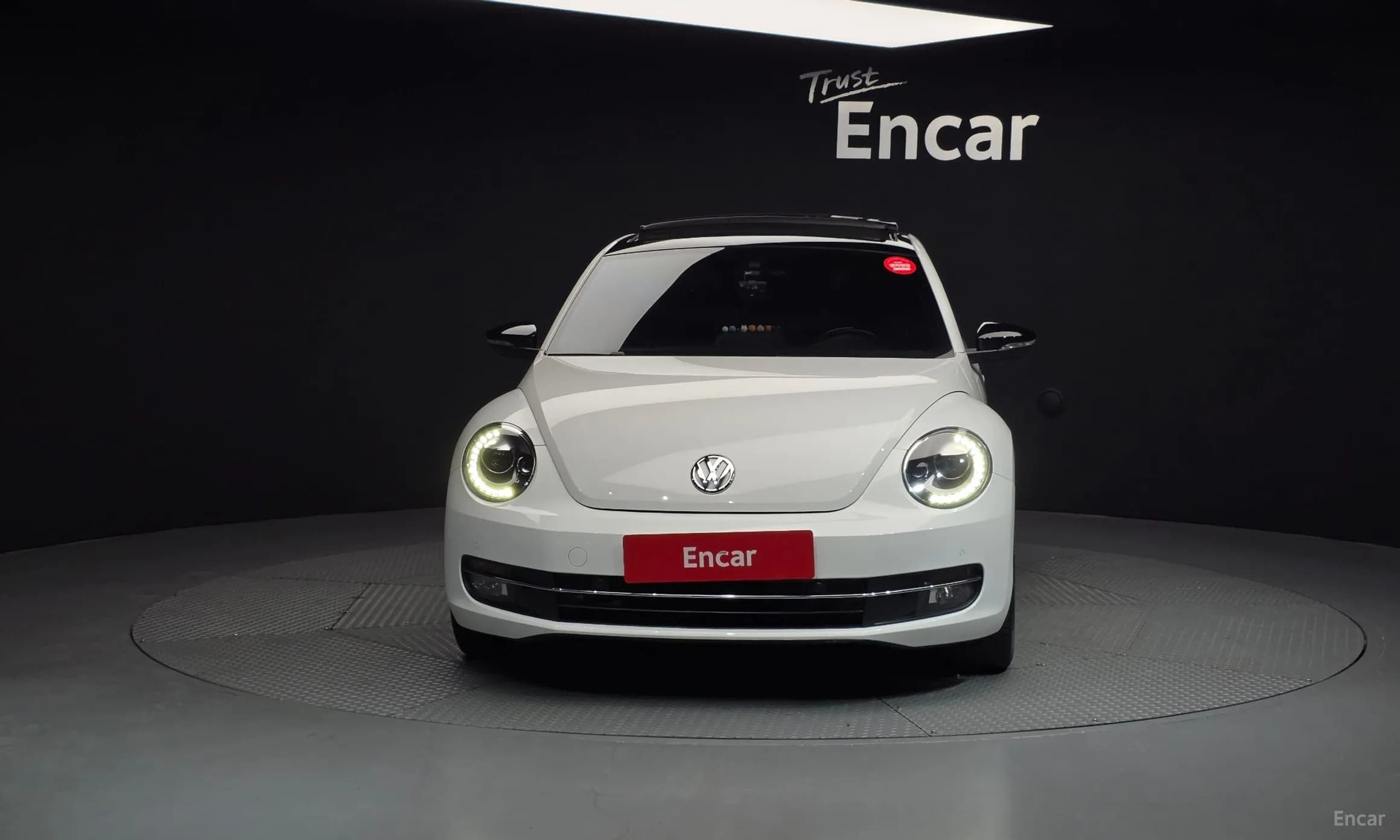 The Beetle