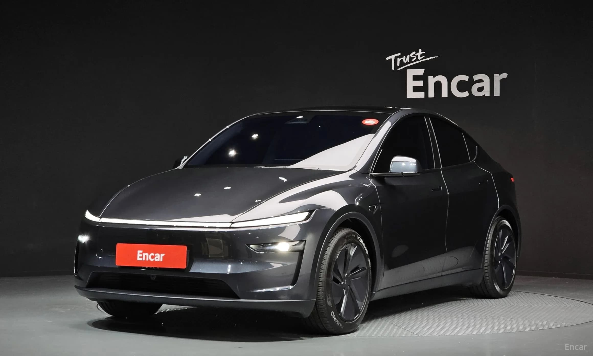 Model Y