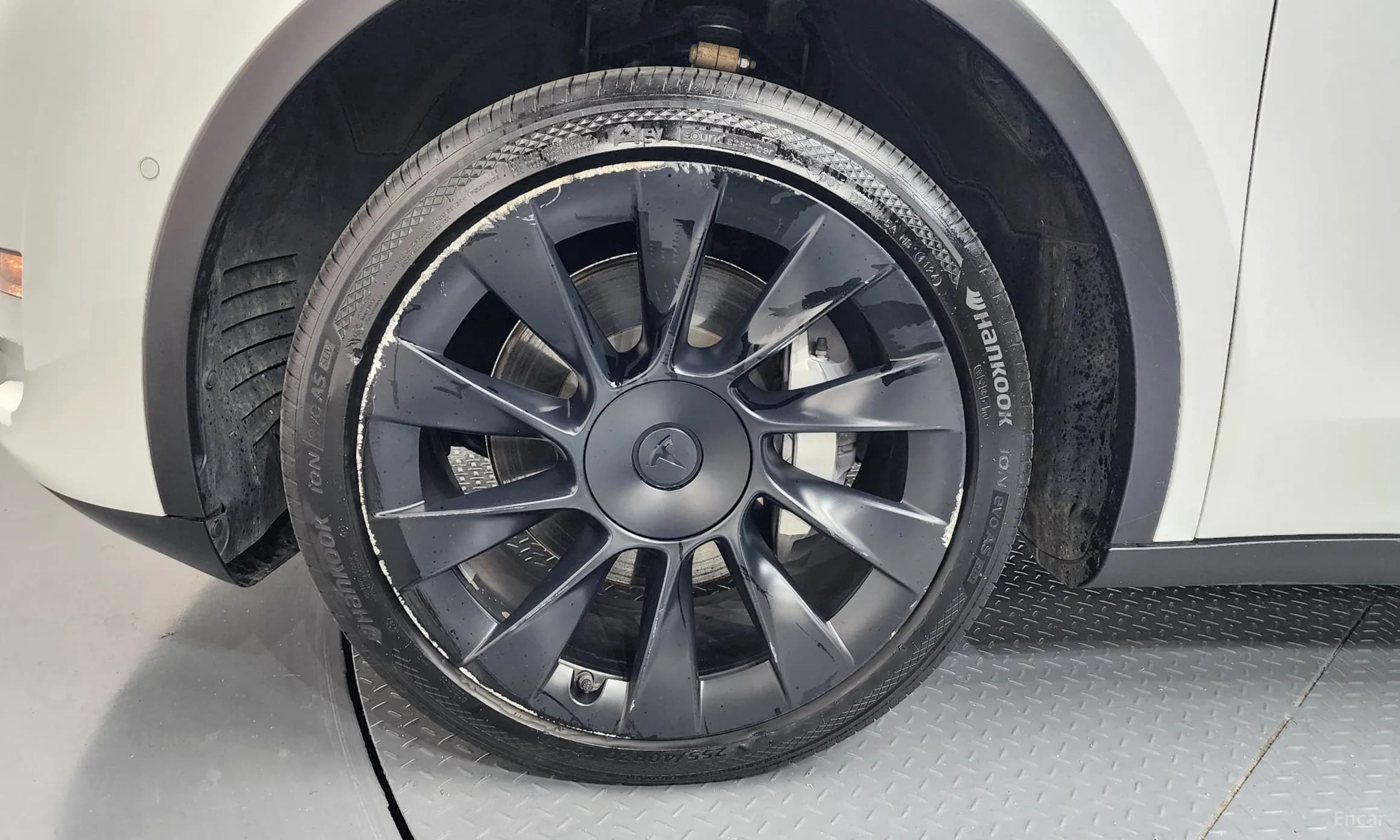 Model Y