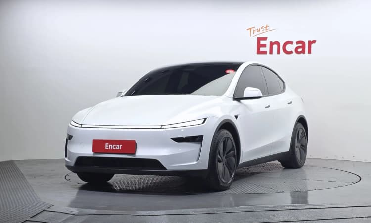 Model Y