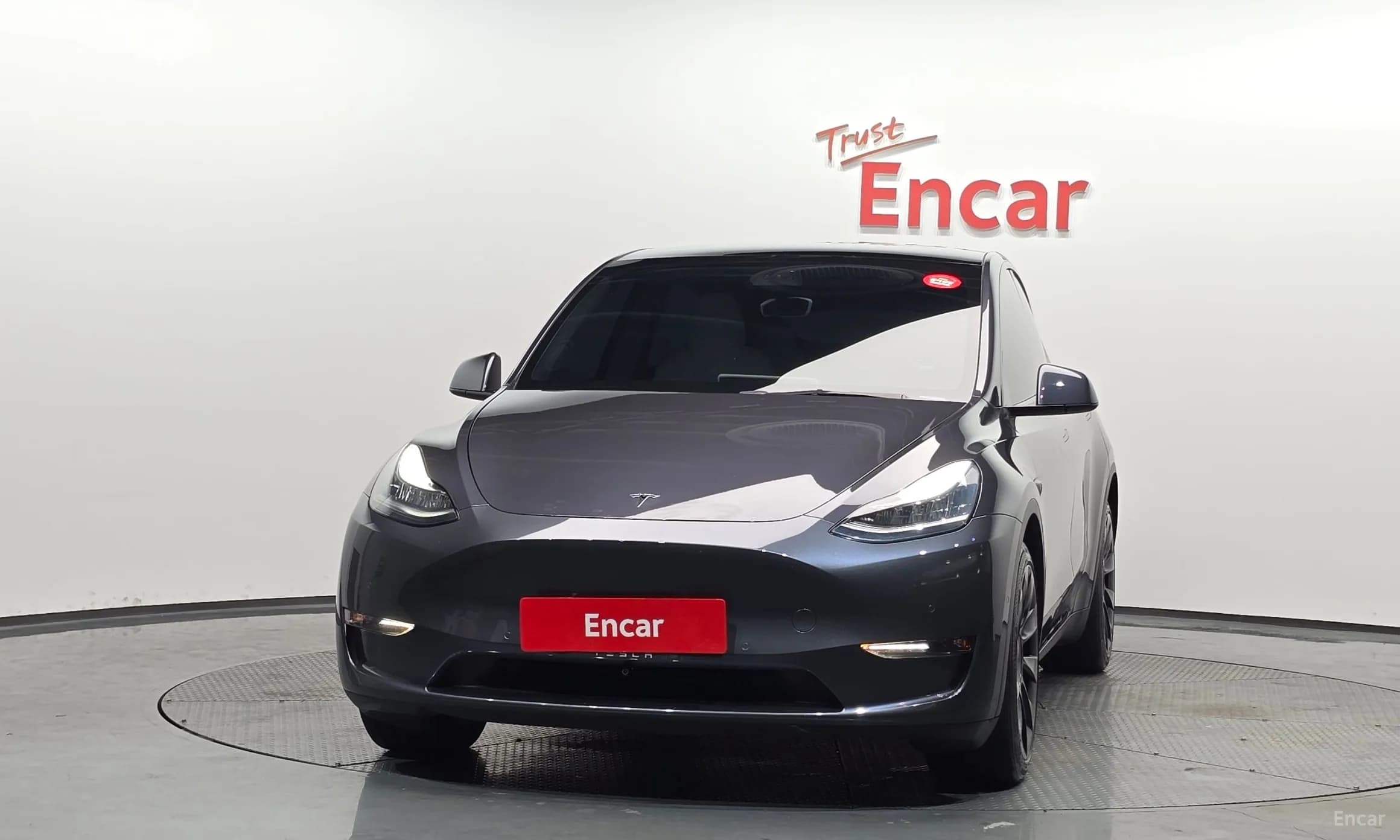 Model Y