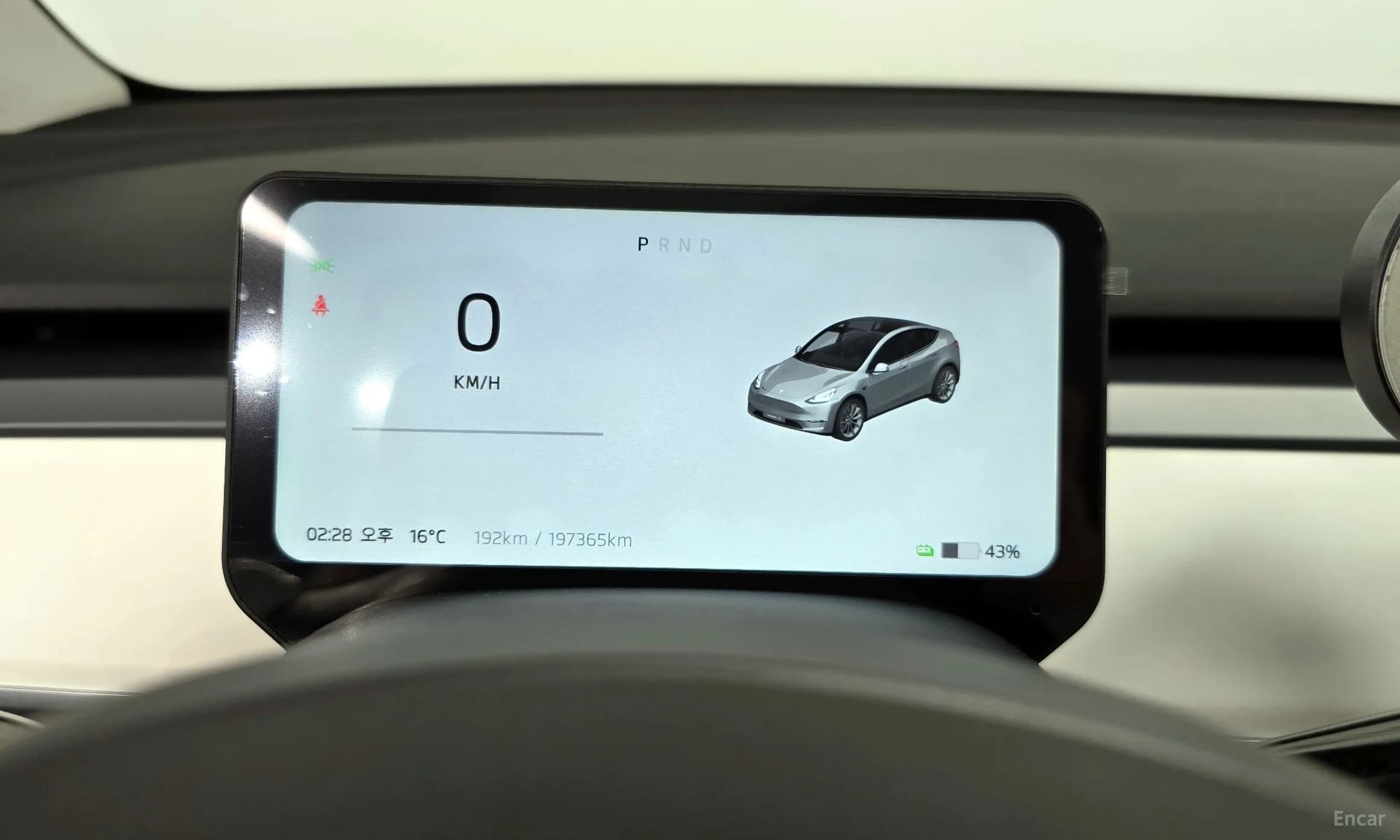 Model Y