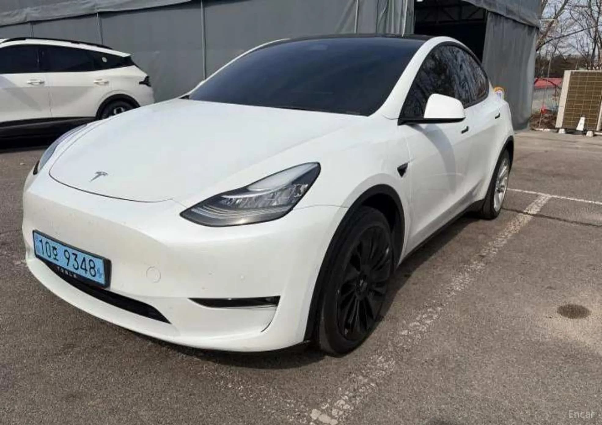 Model Y