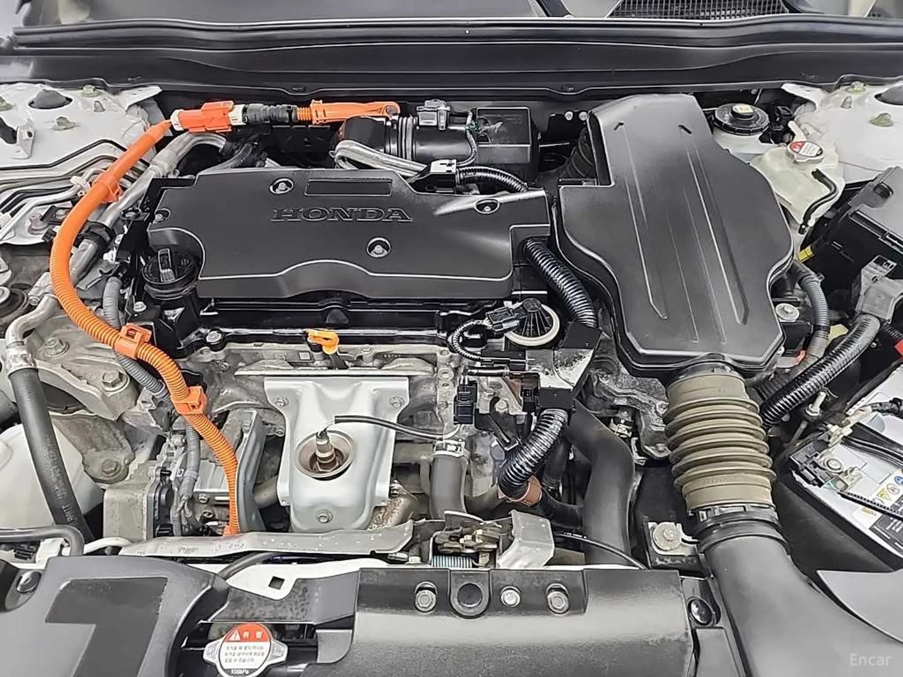 Accord 10th Generation