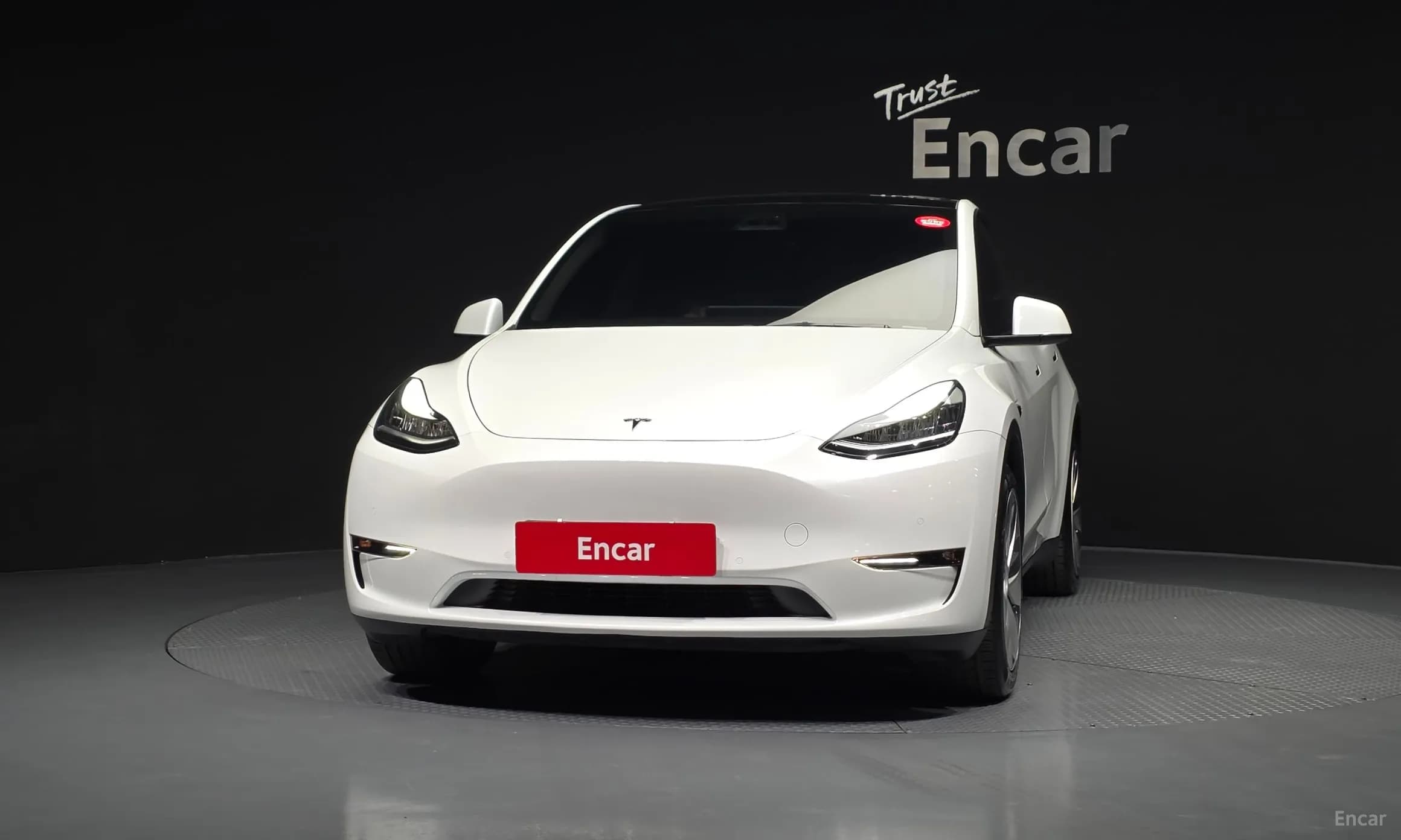 Model Y