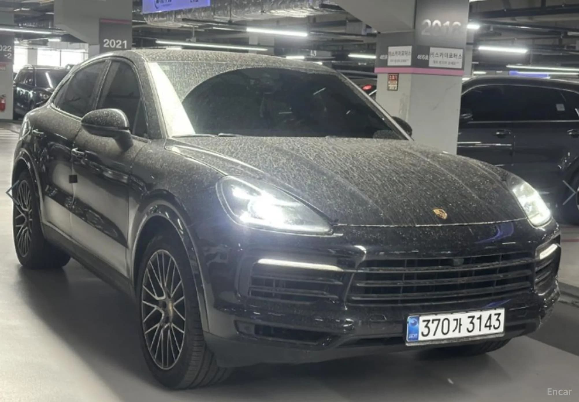Cayenne (PO536)