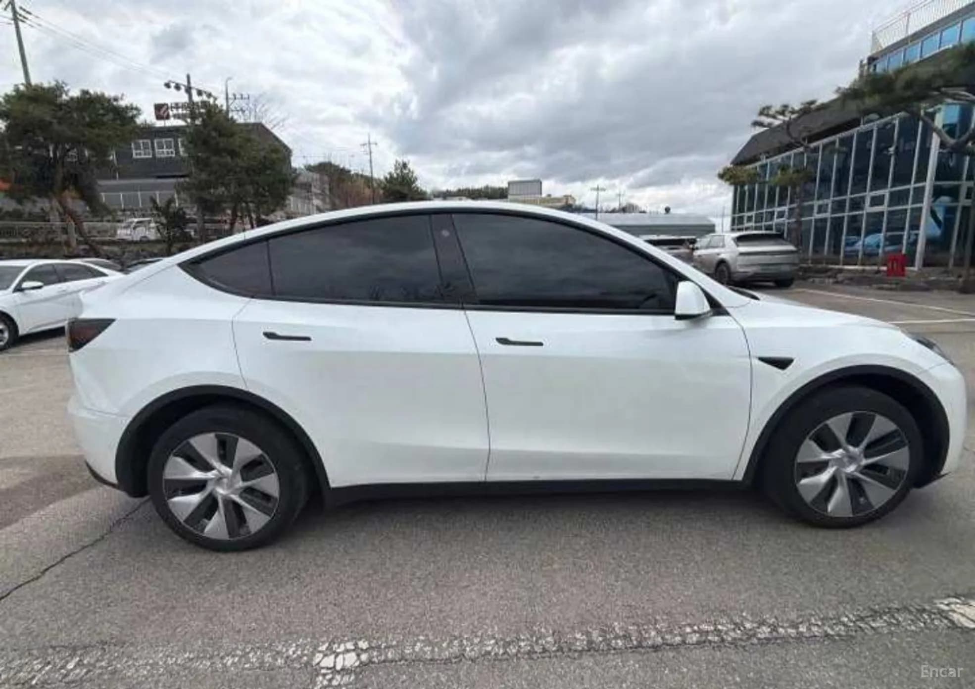 Model Y