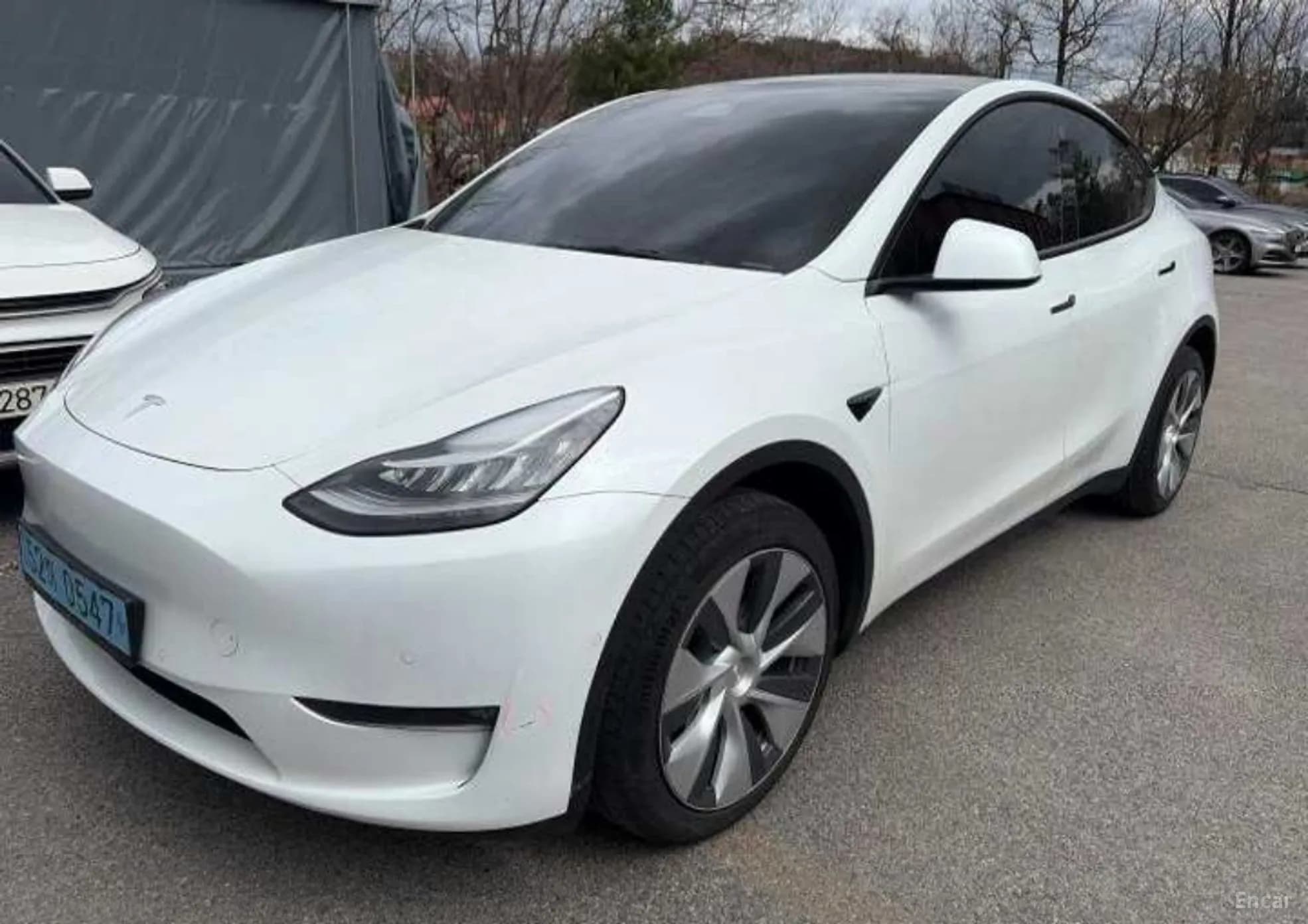 Model Y