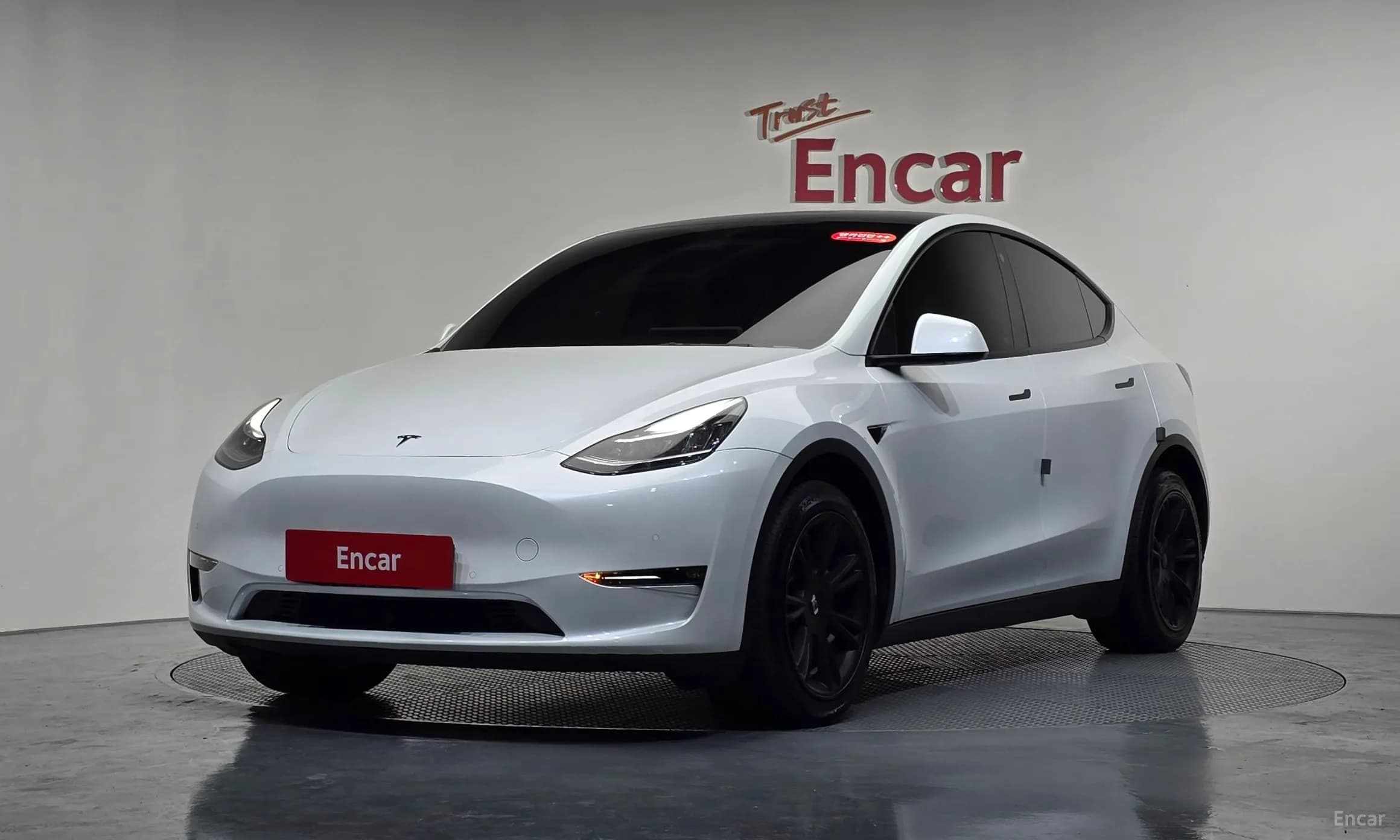 Model Y