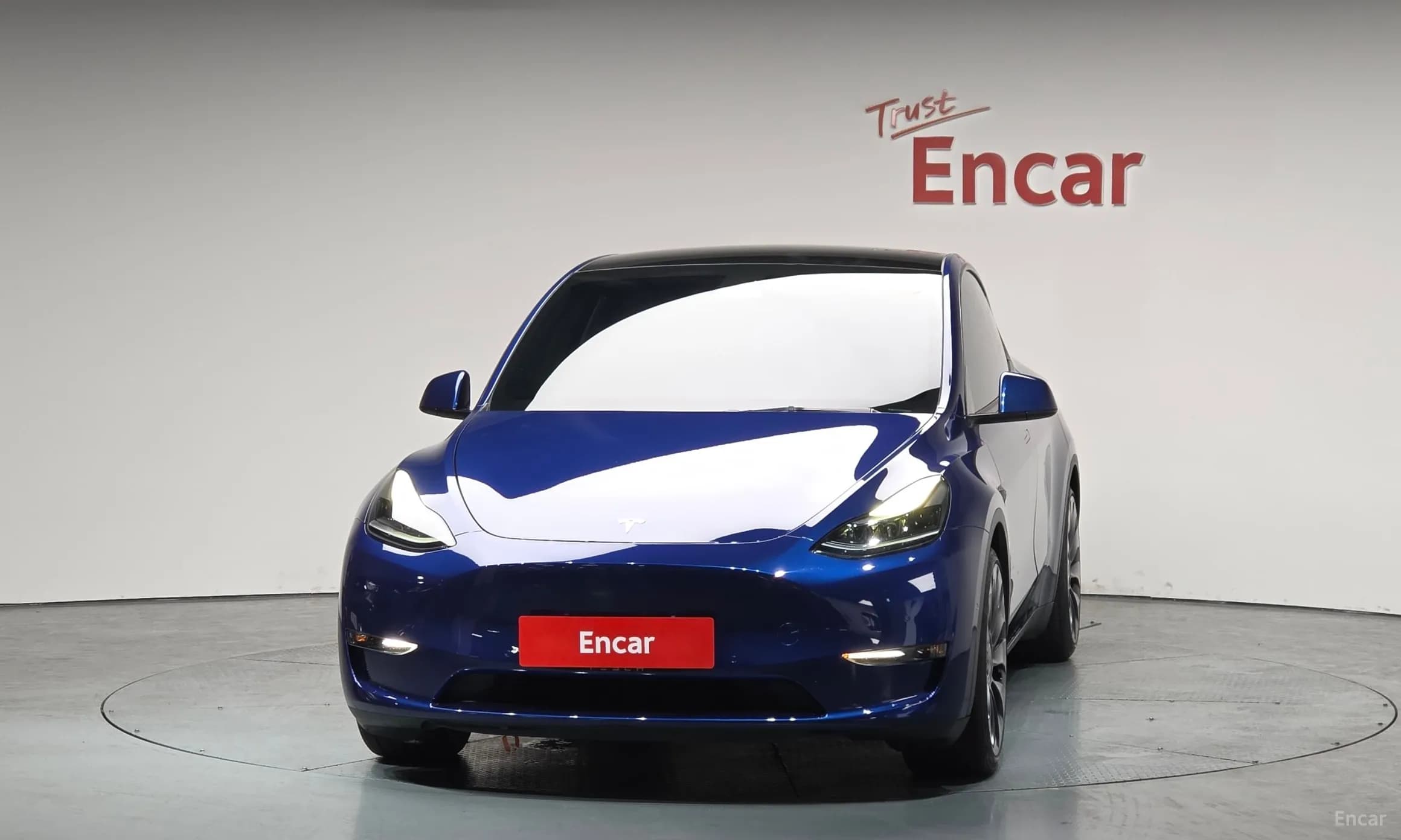 Model Y