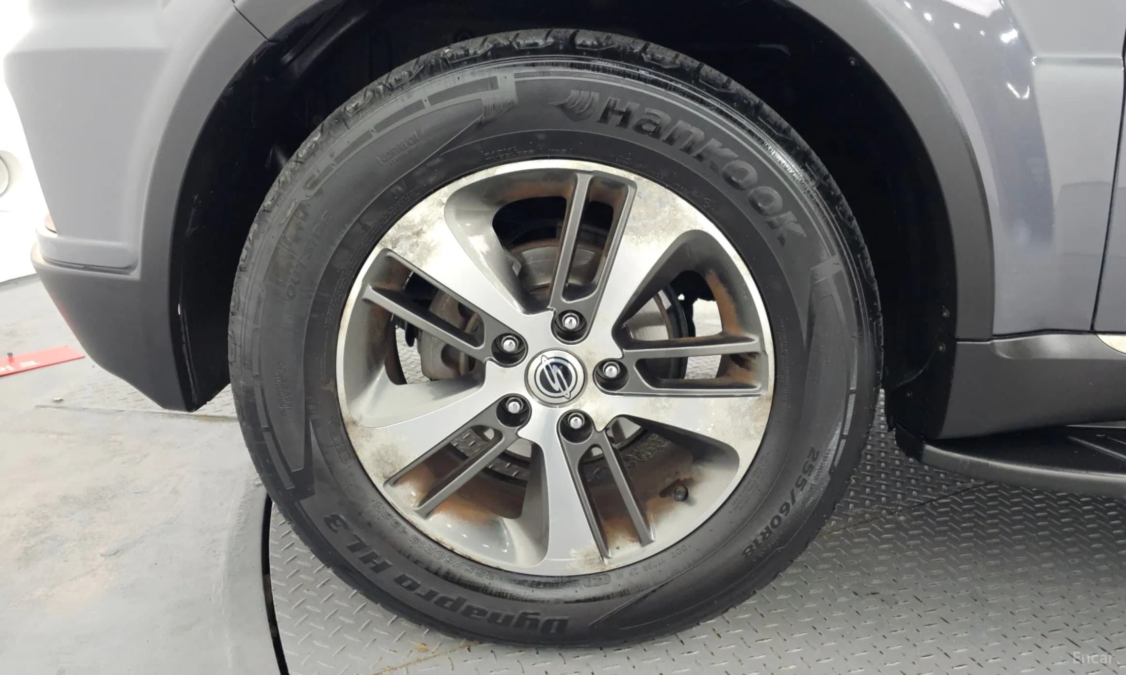 Rexton W